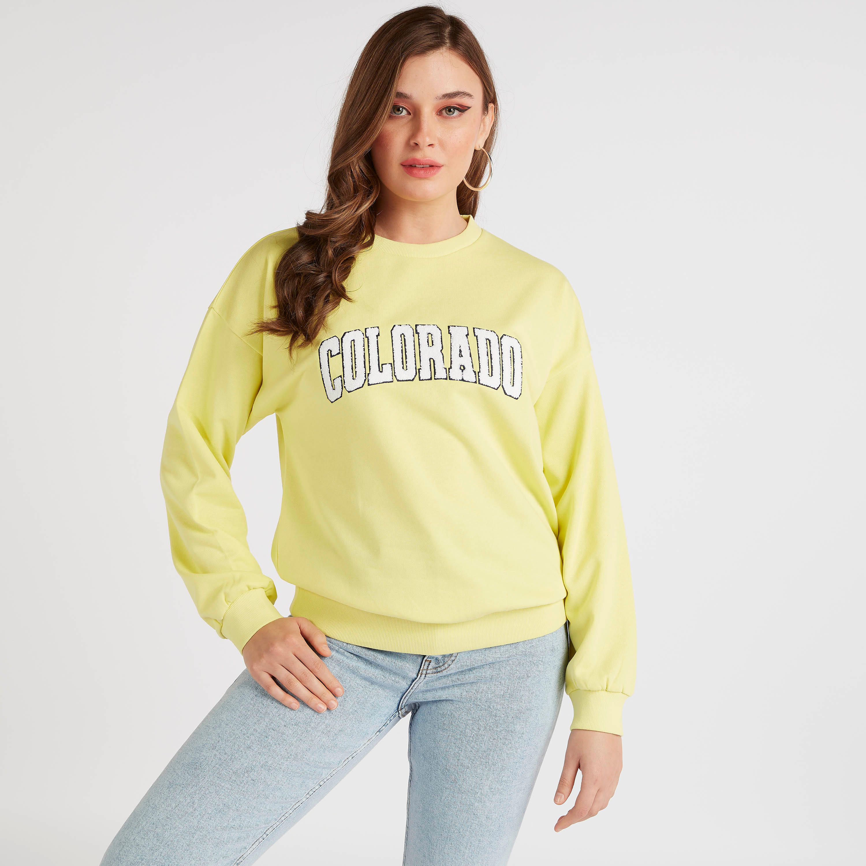 Textured Crew Neck Sweatshirt with Long Sleeves-women-winterwear-hoodiesandsweatshirts-sweatshirts-image-6