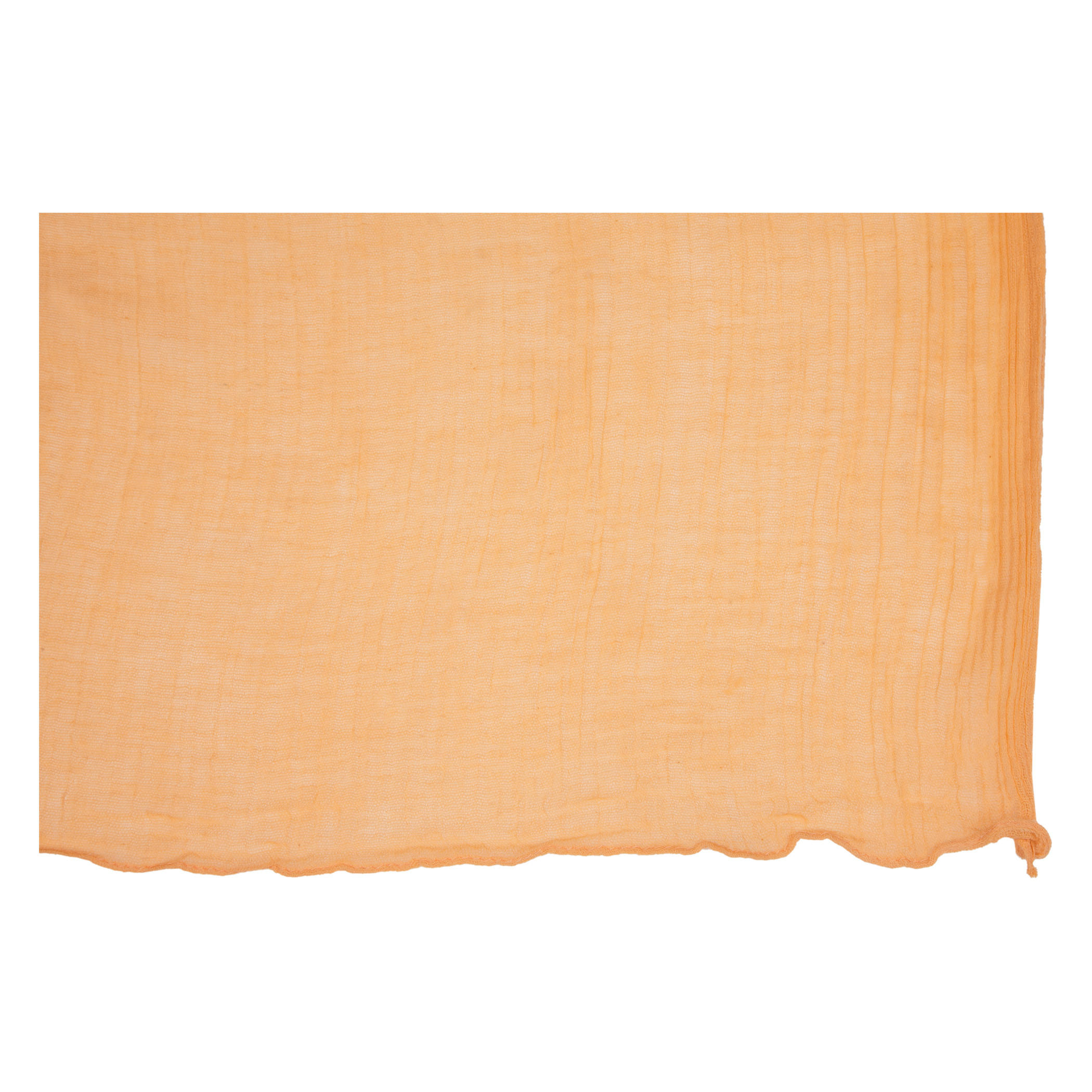Basic Scarf-women-clothingaccessories-scarves-image-1
