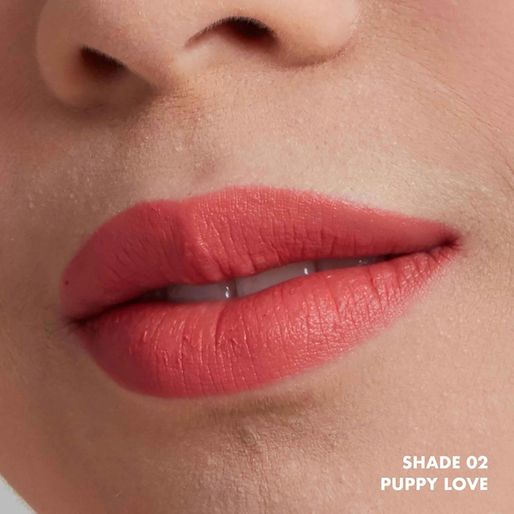 أحمر شفّاه بودر بف ليبي من إن واي إكس بروفيشنال ميك أب-beautyandpersonalcare-makeup-lips-liquidlipsticks-image-6