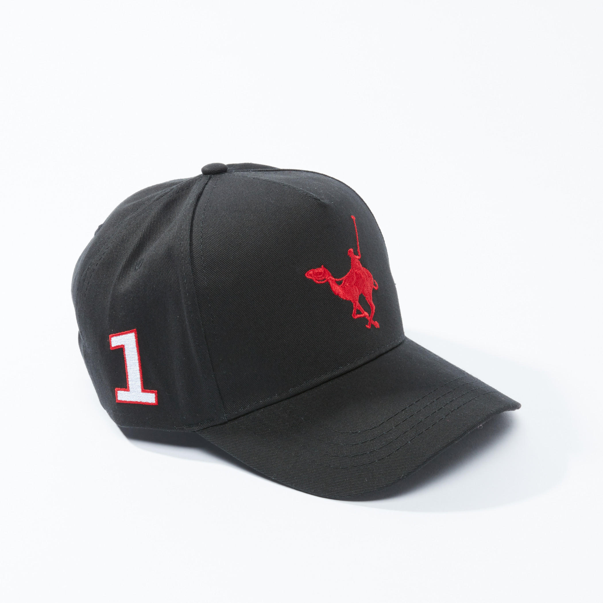 قبعة كاب مطرّزة بثنية إغلاق-men-caps-image-1