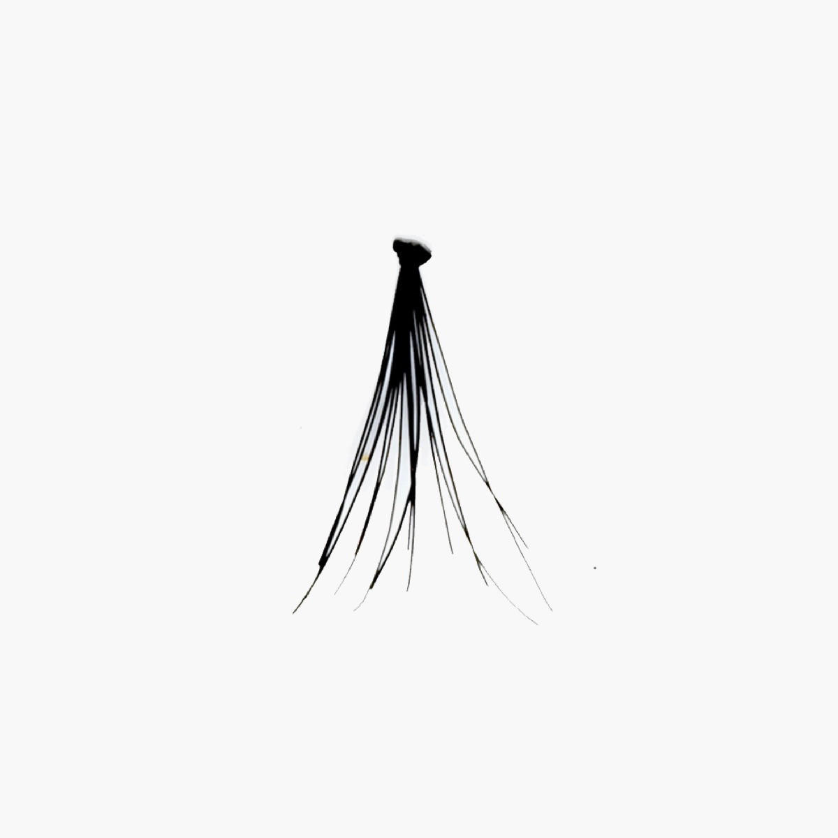 KISS i-Envy Luxe Black Flare Medium Eyelashes - Set of 70-beautyandpersonalcare-giftsets-image-3