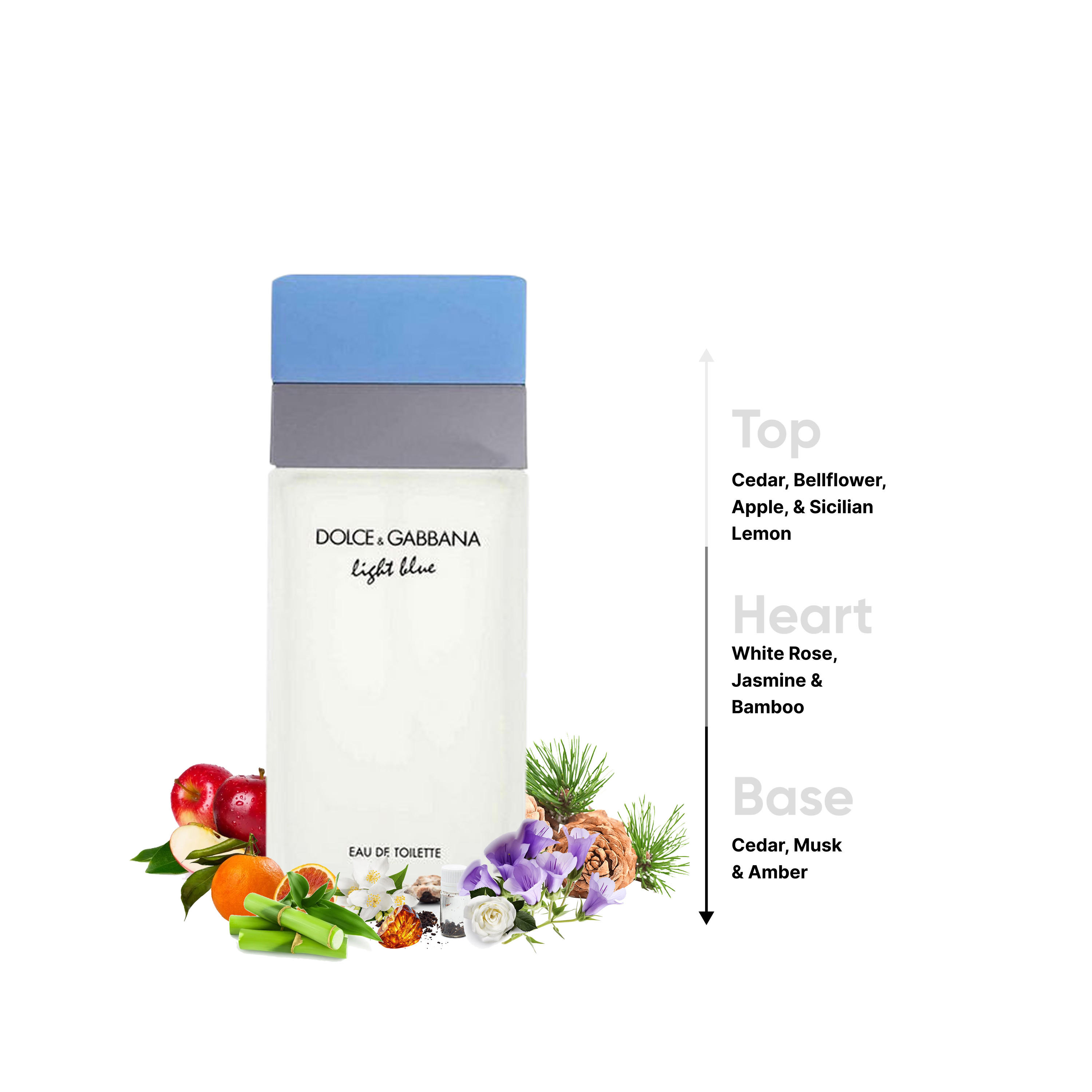بخاخ معطر للجسم ديلان بلو أو دو تواليت لايت بلو من دولتسي آند غابانا للنساء- 100 مل-beautyandpersonalcare-fragrance-women-image-4