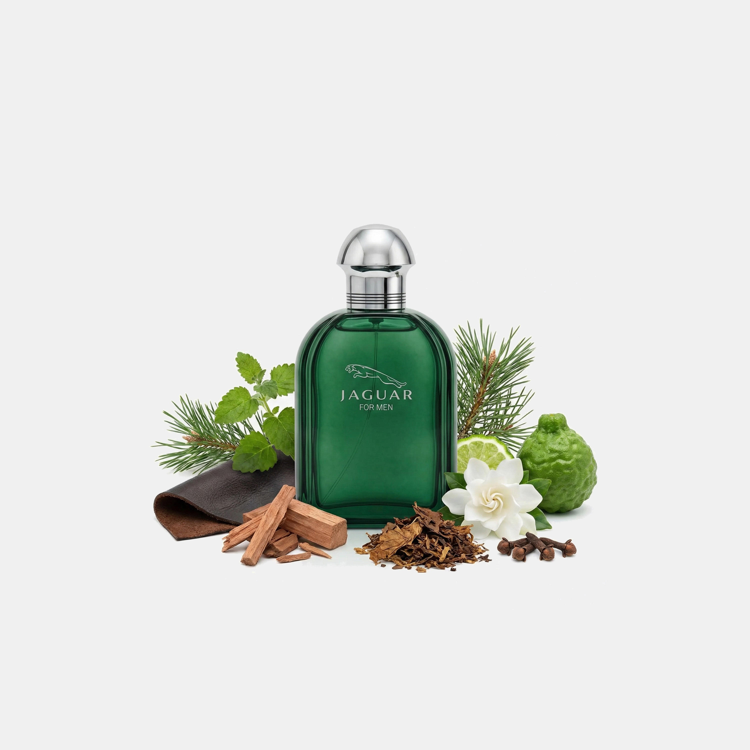 Jaguar For Men Eau de Toilette Vaporisateur Natural Spray - 100 ml-beautyandpersonalcare-fragrance-men-image-3