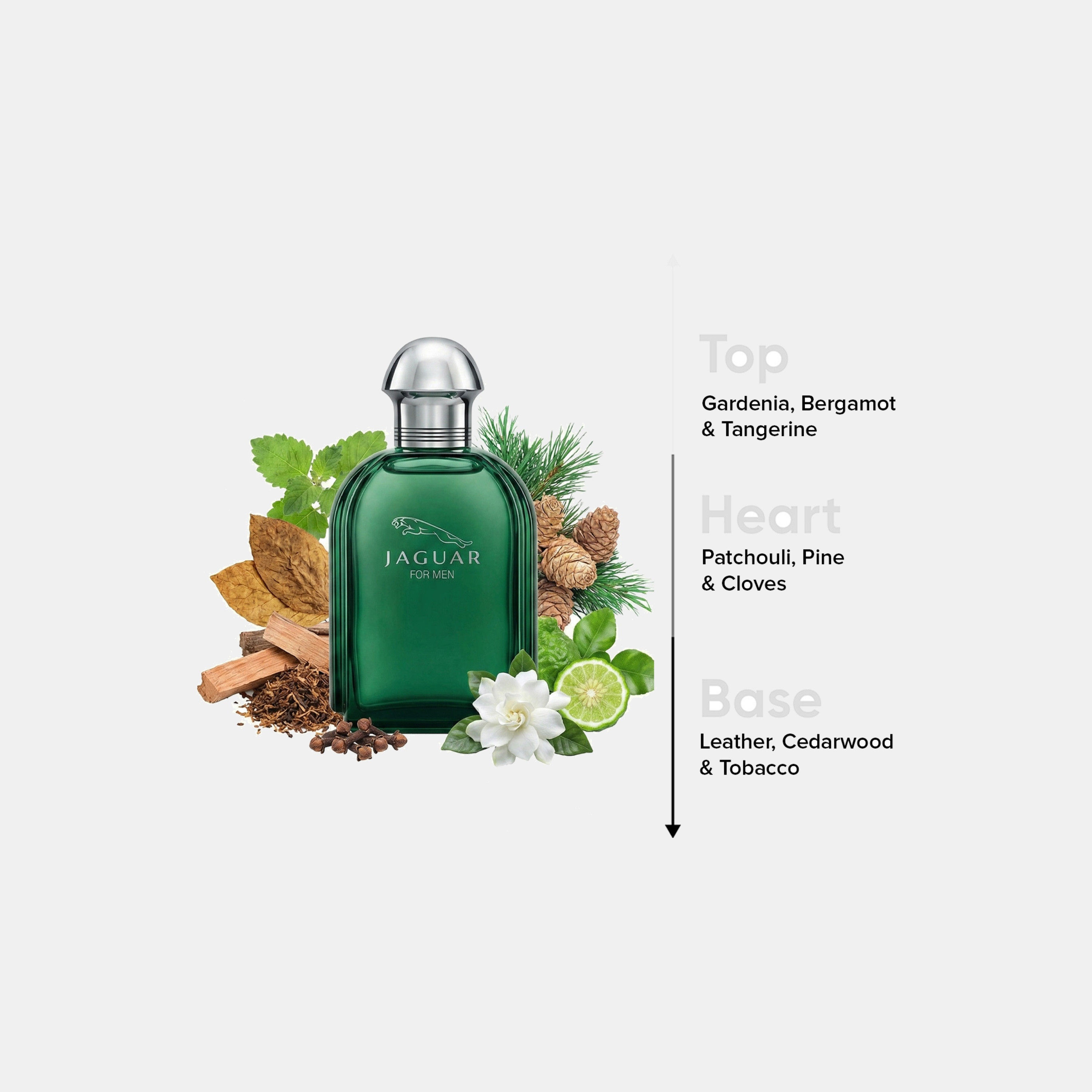 Jaguar For Men Eau de Toilette Vaporisateur Natural Spray - 100 ml-beautyandpersonalcare-fragrance-men-image-4
