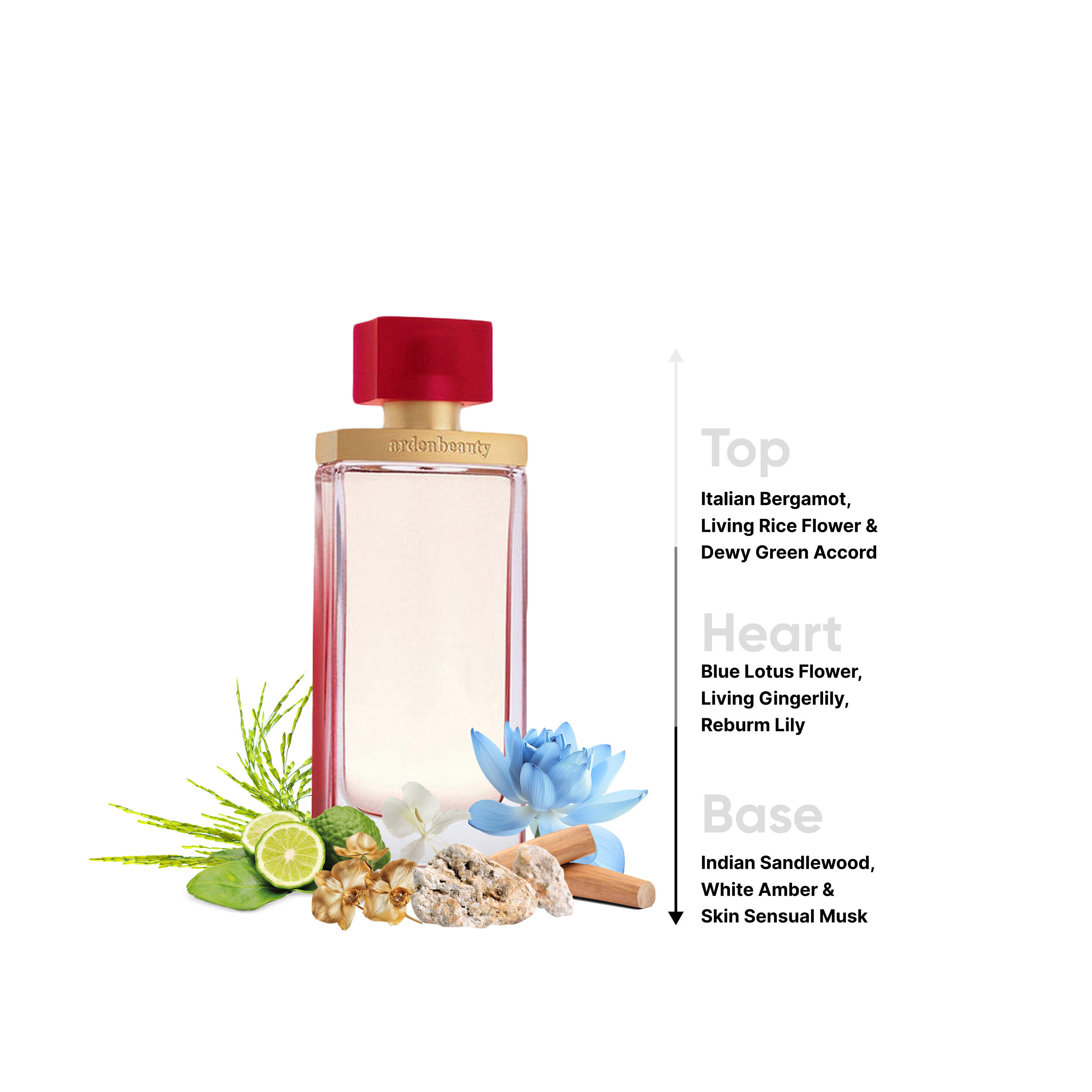 Elizabeth Arden Beauty Eau De Parfum Spray for Women - 100 ml-beautyandpersonalcare-fragrance-women-image-4