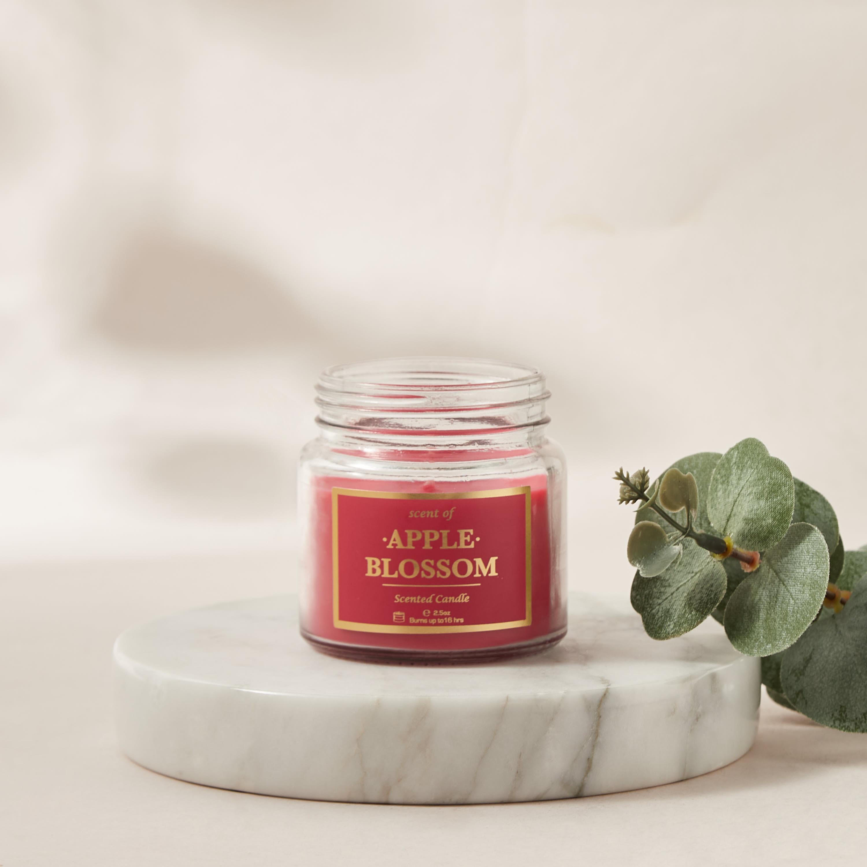 Rose and Jasmine Scented Jar Candle - 70 gms-household-homefragrance-candles-image-1