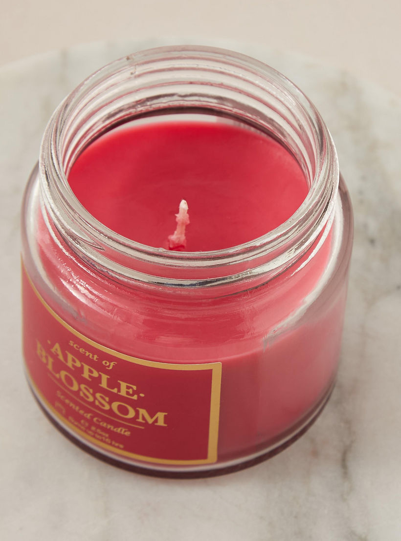 Rose and Jasmine Scented Jar Candle - 70 gms-household-homefragrance-candles-image-3