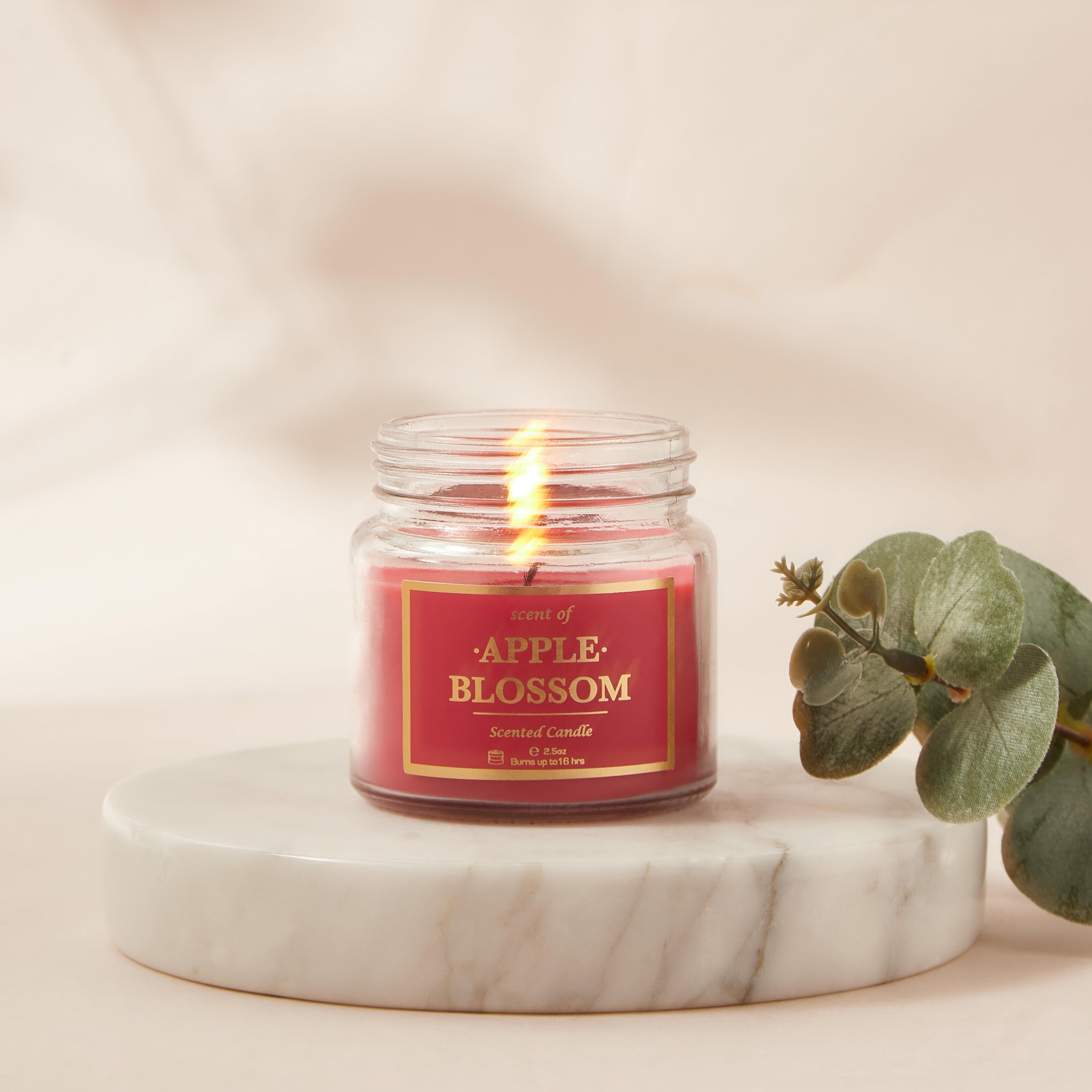 Rose and Jasmine Scented Jar Candle - 70 gms-household-homefragrance-candles-image-4