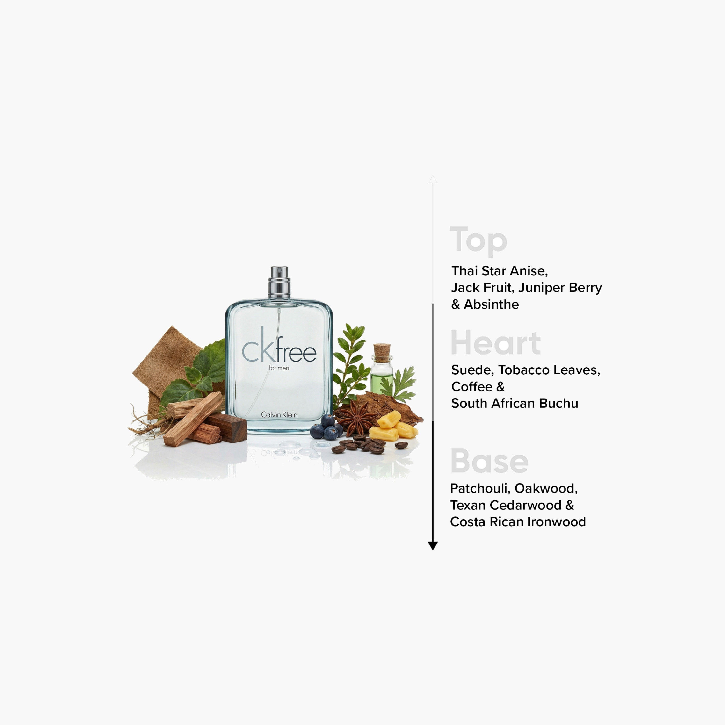 Calvin Klein Free Eau De Toilette - 100 ml-beautyandpersonalcare-fragrance-men-image-4