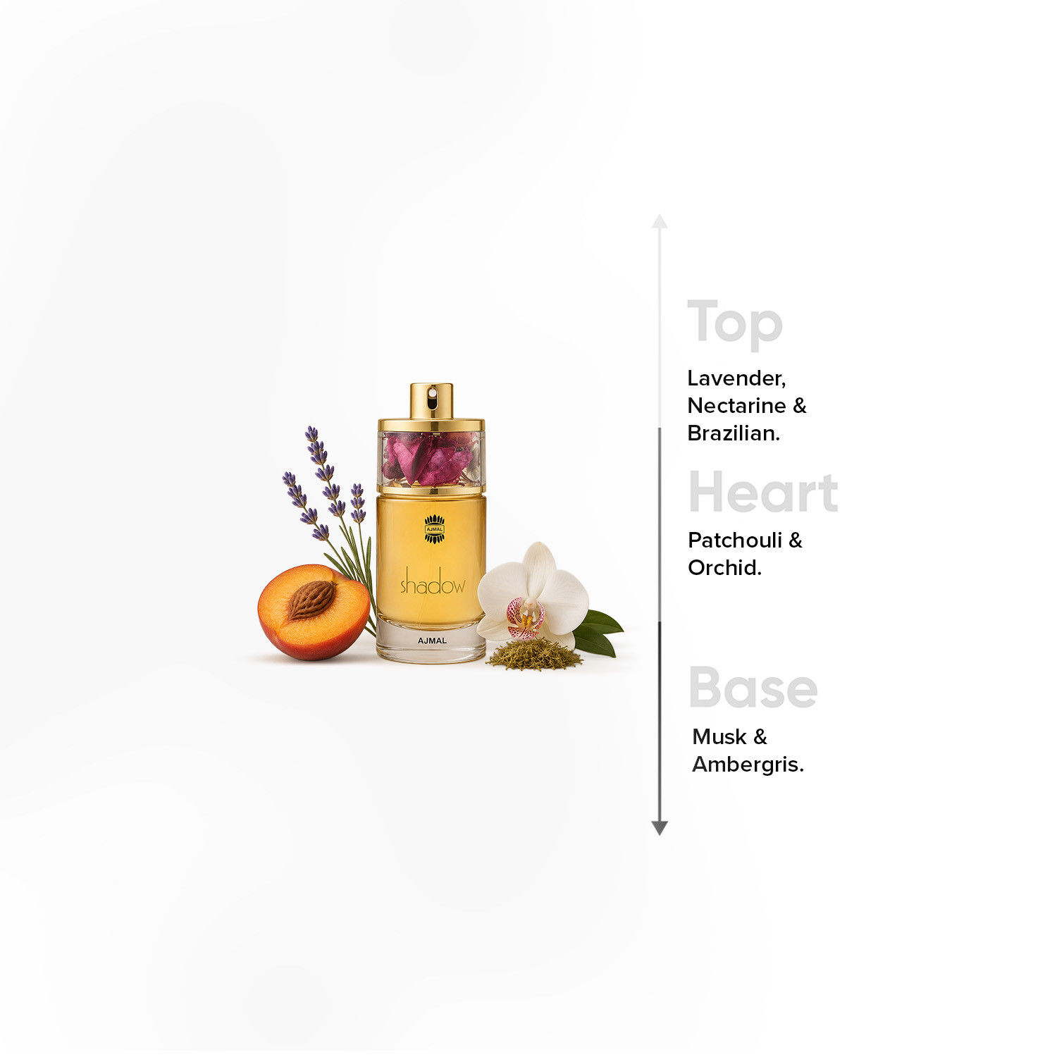 عطر بخّاخ أو دي برفان شادو من أجمل- 75 مل-beautyandpersonalcare-fragrance-women-image-4