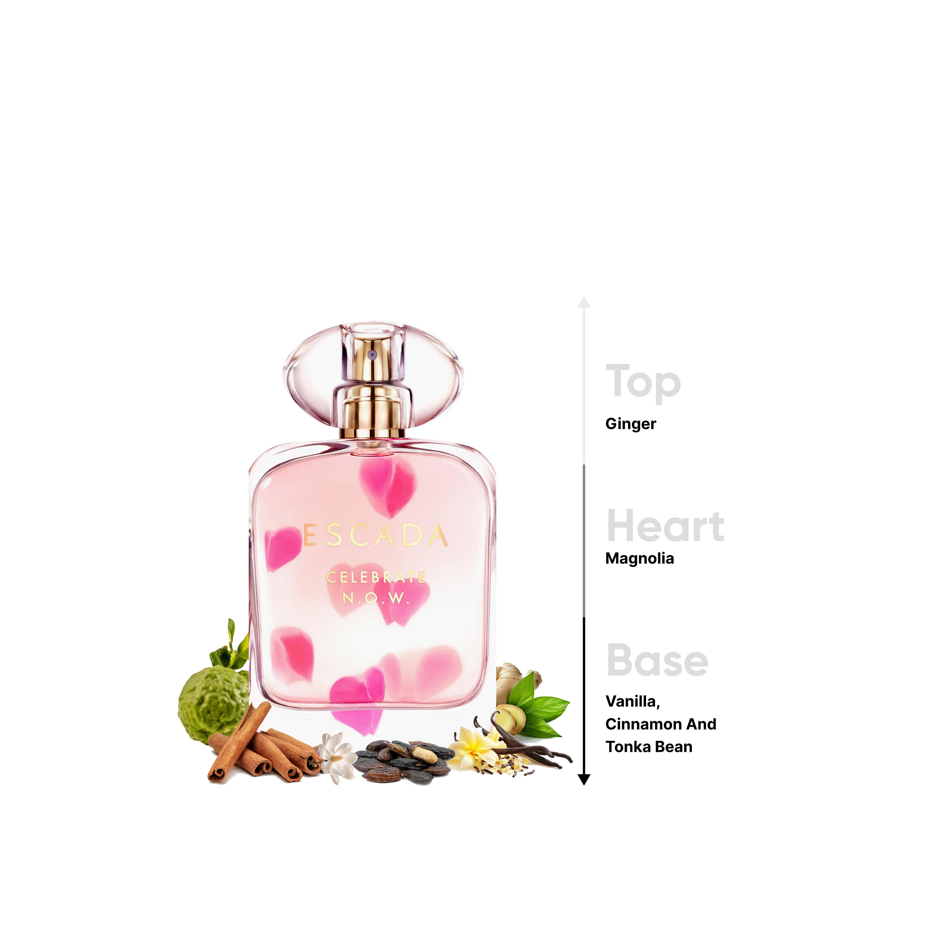 بخاخ أو دو برفان سيليبريت إن أو دبليو للنساء من إسكادا - 80 مل-beautyandpersonalcare-fragrance-women-image-4