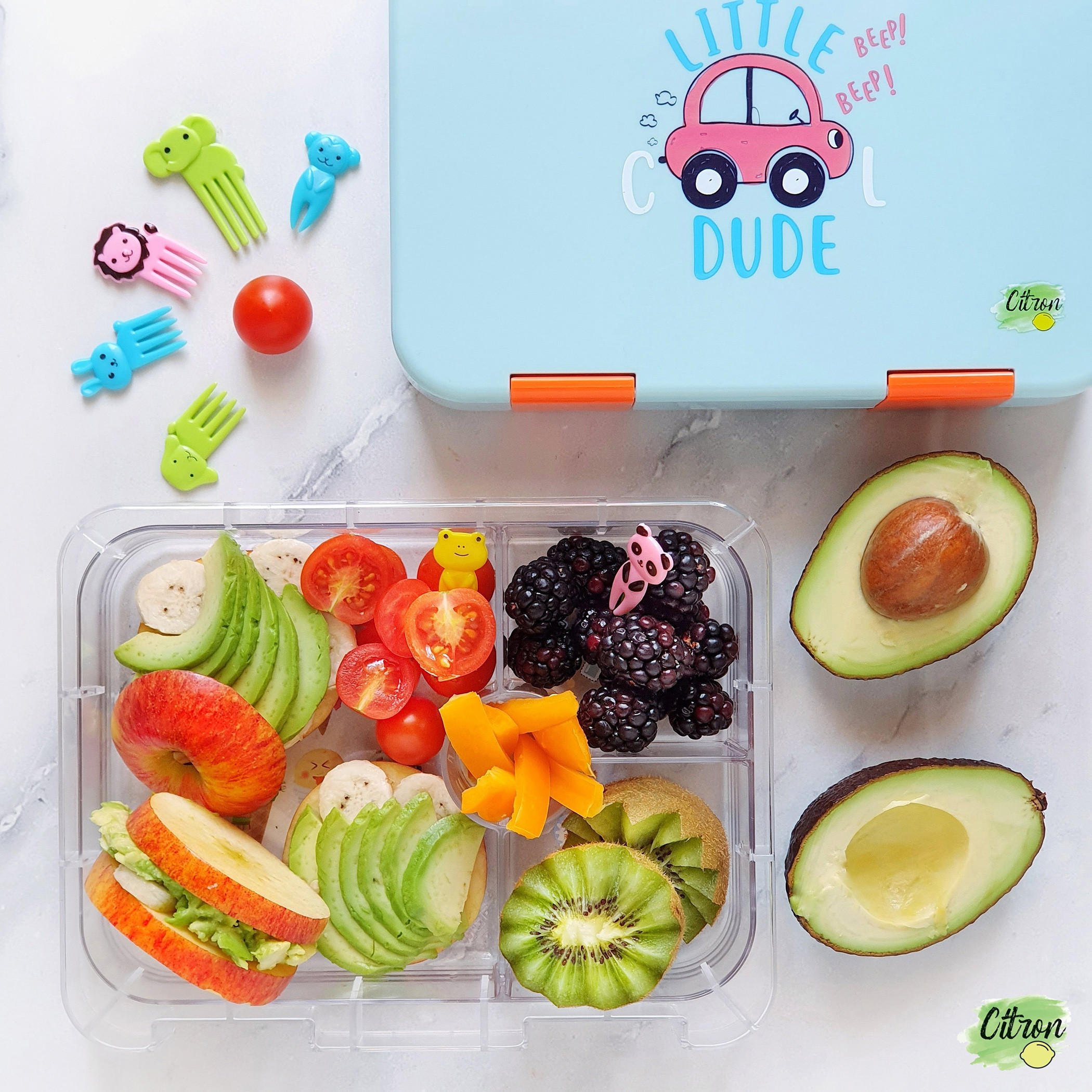 Citron Cars Print 4-Compartment Lunch Box Set-school-lunchessentials-lunchboxes-image-6