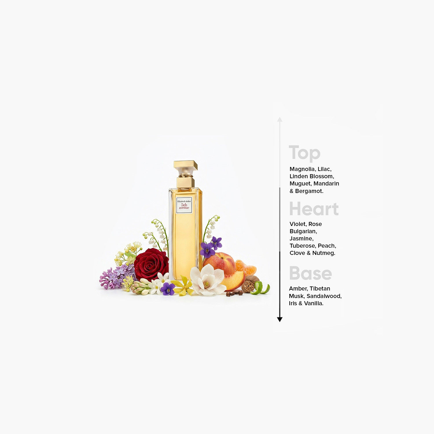 عطر أو دي برفيوم فيفث أفينيو للنساء من إليزابيث آردن - 125 مل-beautyandpersonalcare-fragrance-unisex-image-4