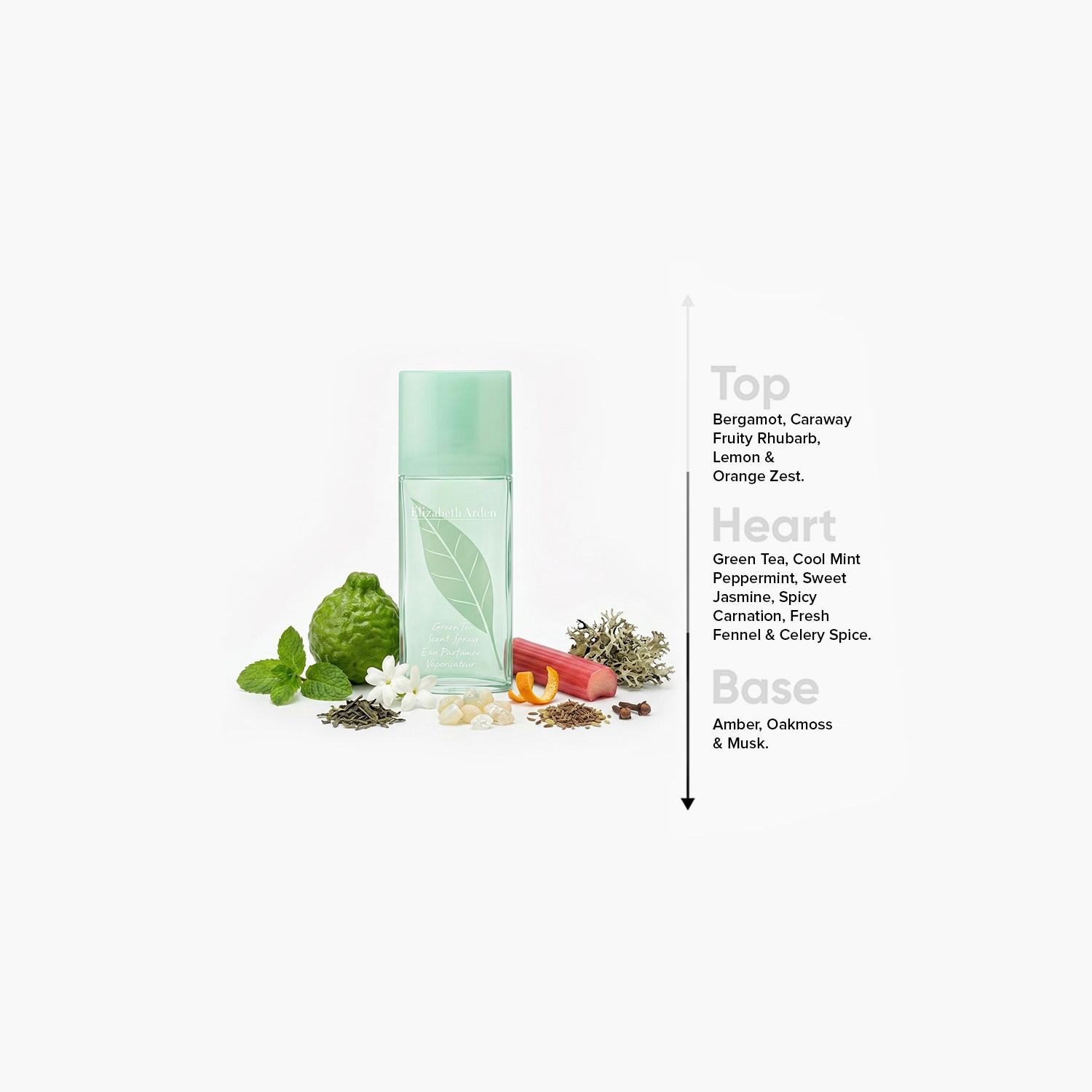 Elizabeth Arden Green Tea Eau De Toilette Spray - 100 ml-beautyandpersonalcare-fragrance-unisex-image-4