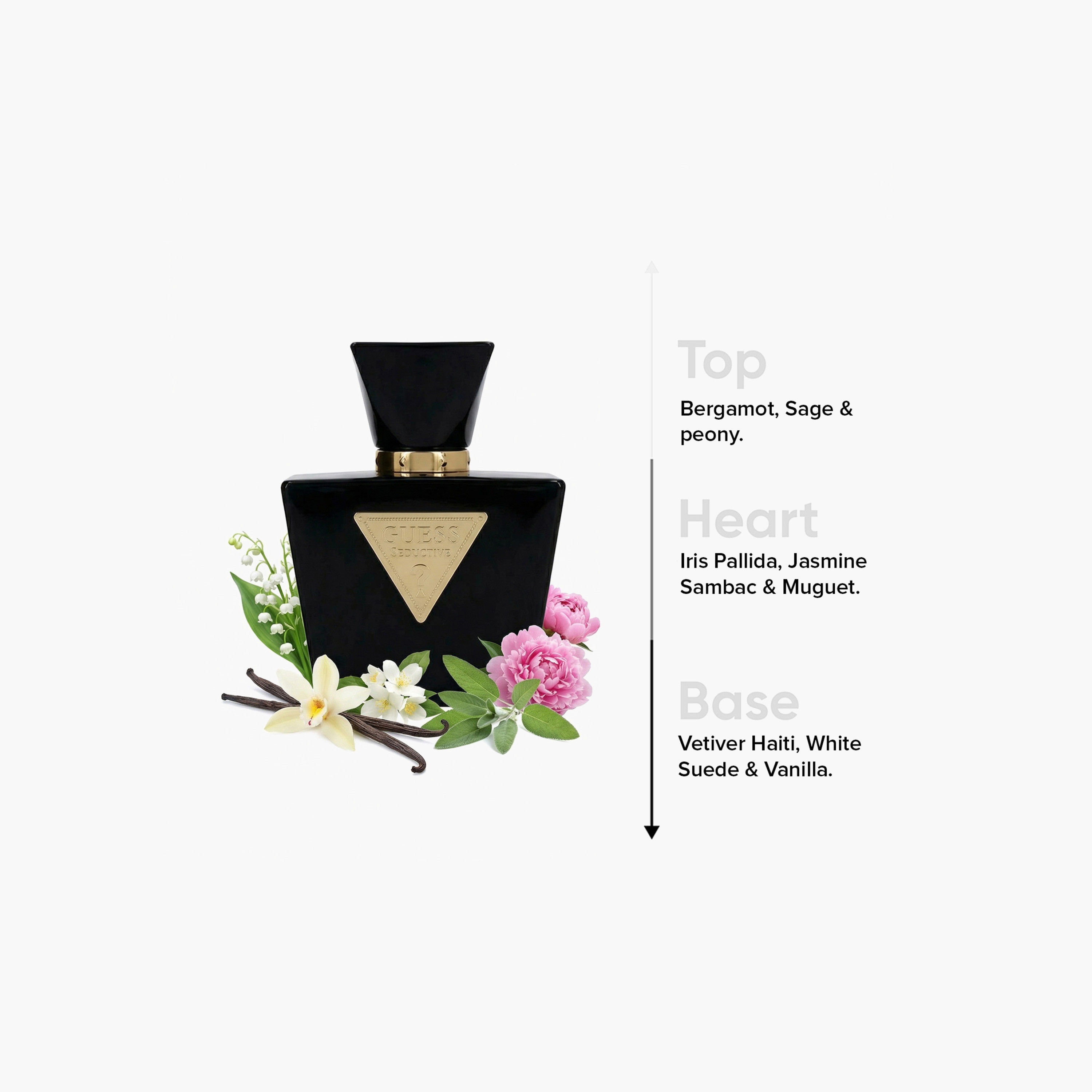 عطر بخّاخ أو دي تواليت سيداكتيف نوار من جيس - 75 مل-beautyandpersonalcare-fragrance-unisex-image-4