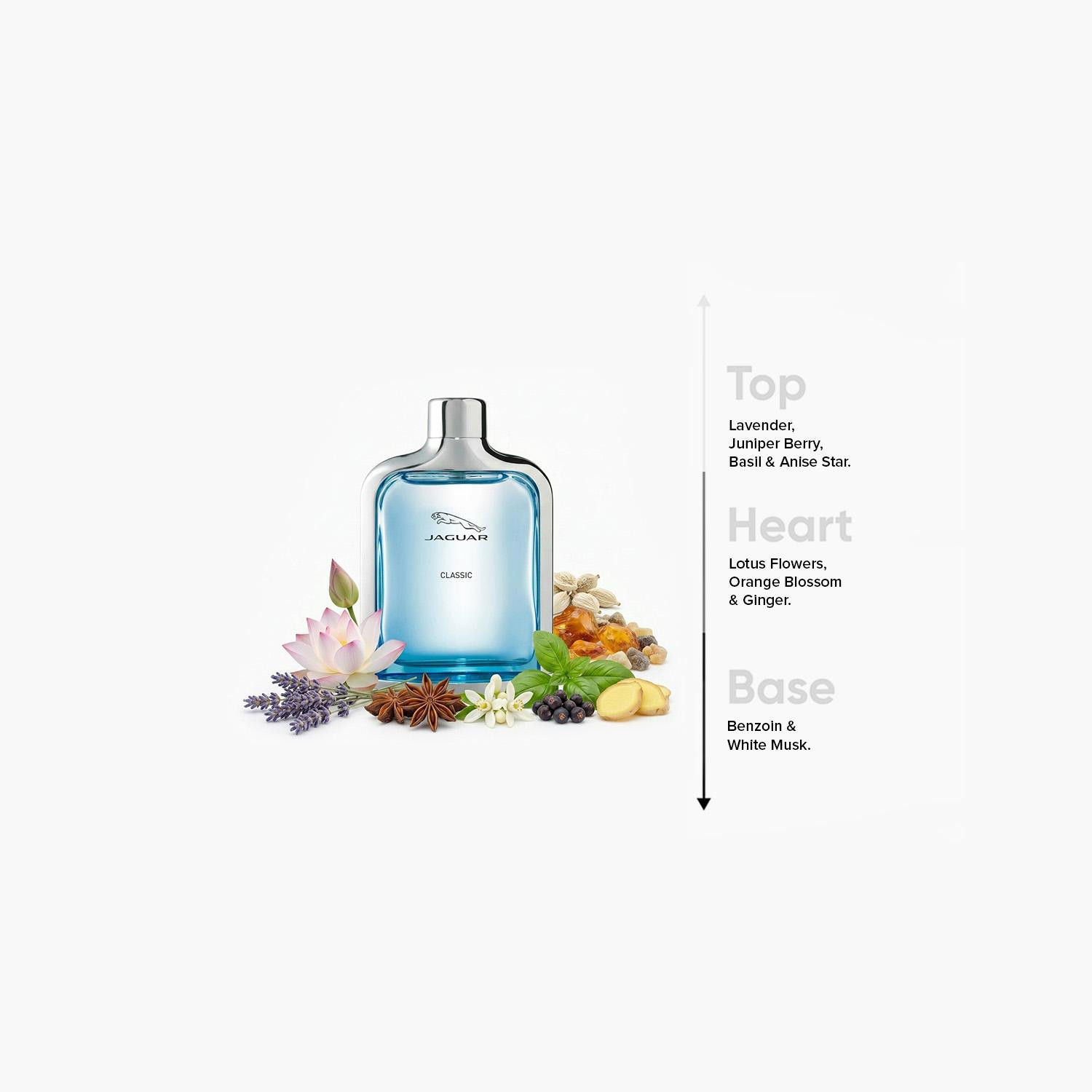 Jaguar Classic Blue Natural Spray for Men - 100 ml-beautyandpersonalcare-fragrance-unisex-image-4