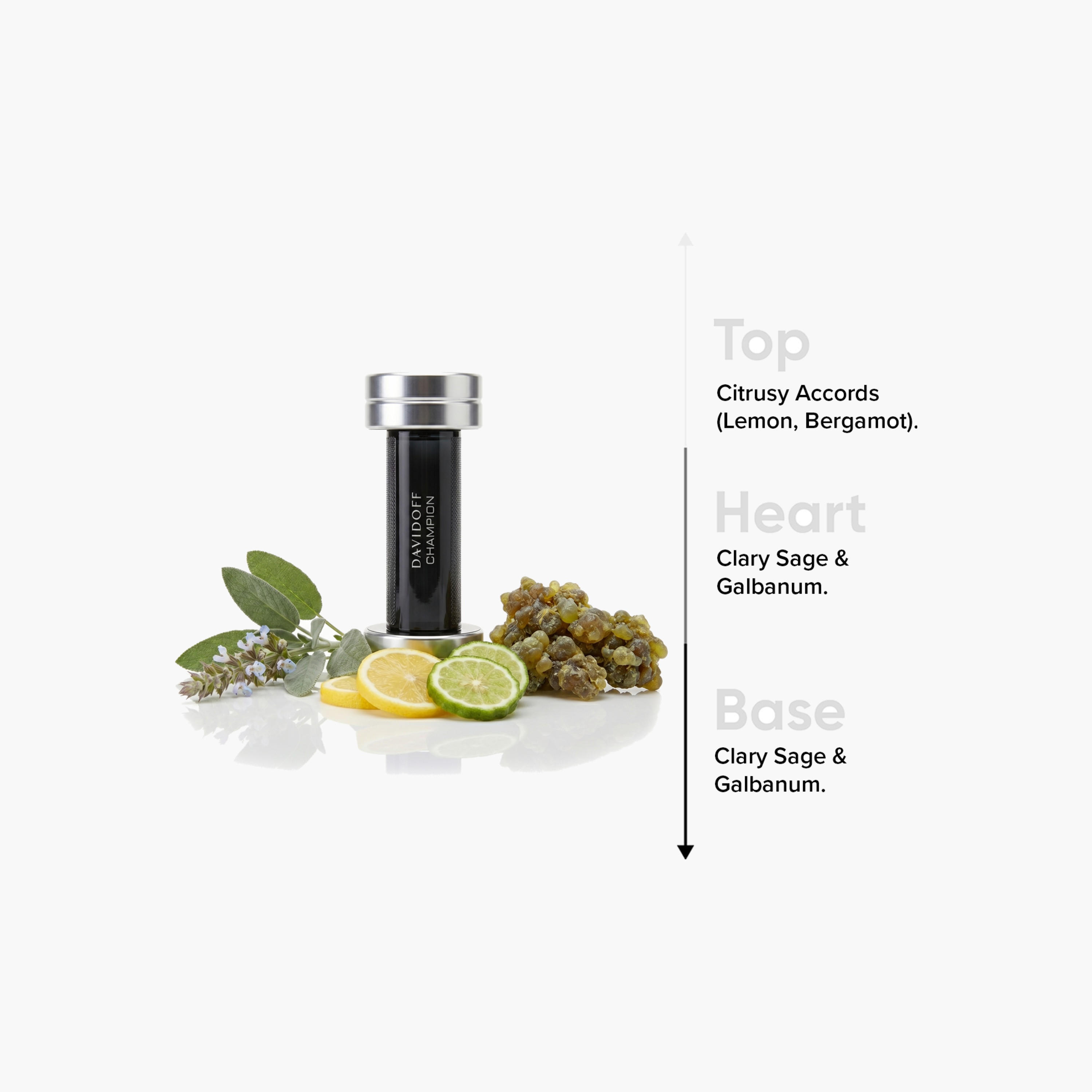Davidoff Champion Eau De Toilette Natural Spray for Men - 90 ml-beautyandpersonalcare-fragrance-men-image-4