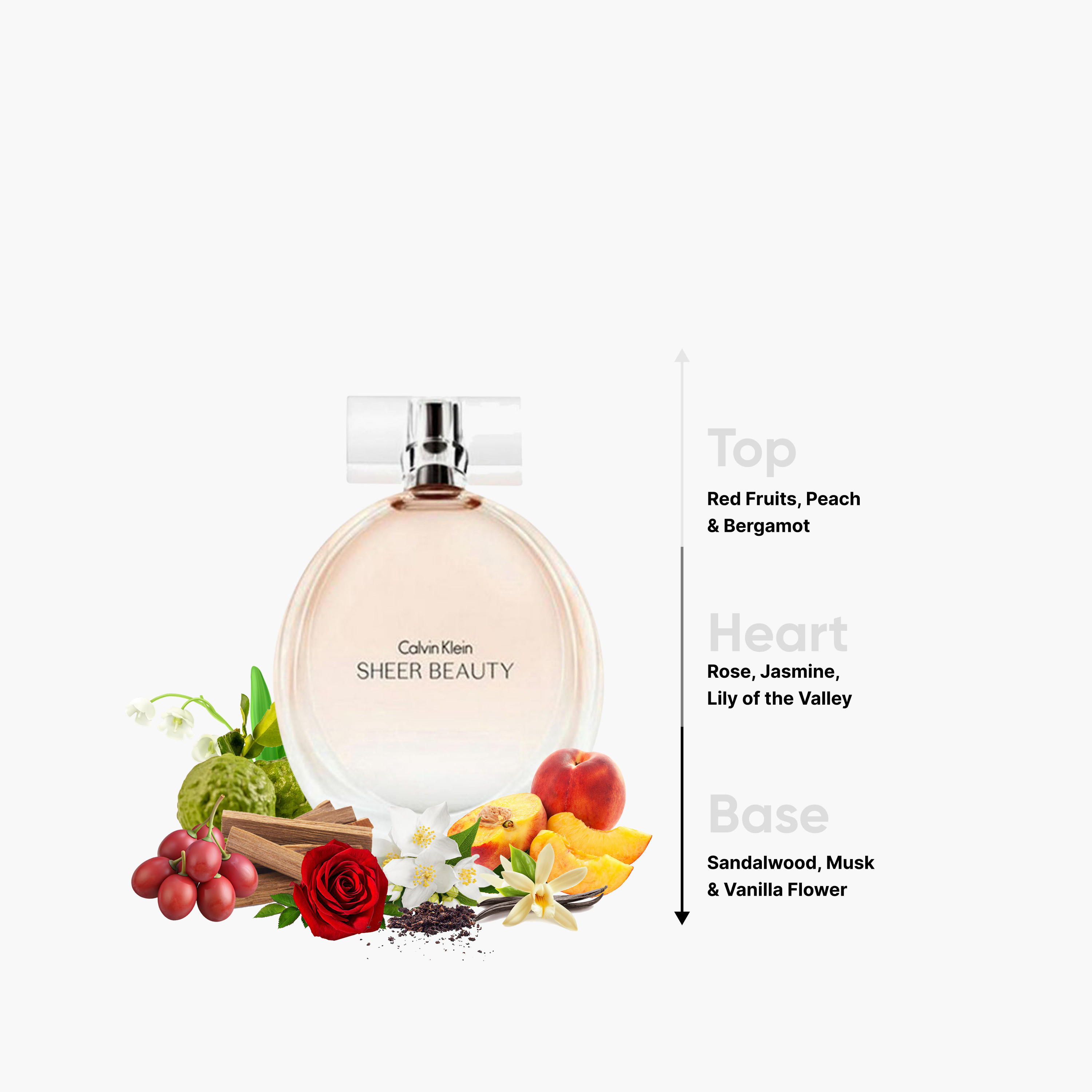 Calvin Klein Sheer Beauty Eau De Toilette for Women - 100 ml-beautyandpersonalcare-fragrance-women-image-4