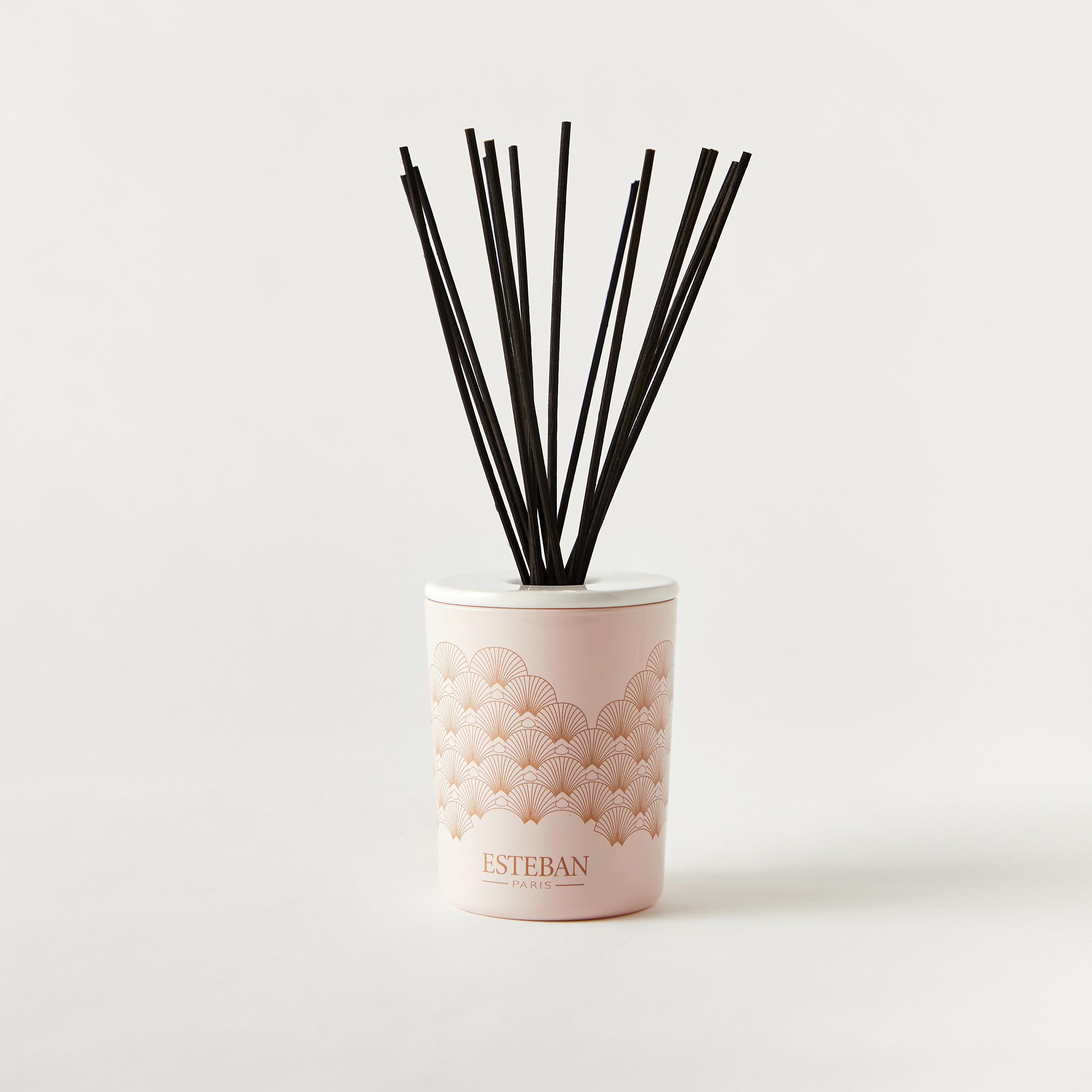 موزع عطور عيدان خشبية 15 قطعة ايريس كاشمير من ايستيبان - 100 مل-household-homefragrance-reeddiffusers-image-2
