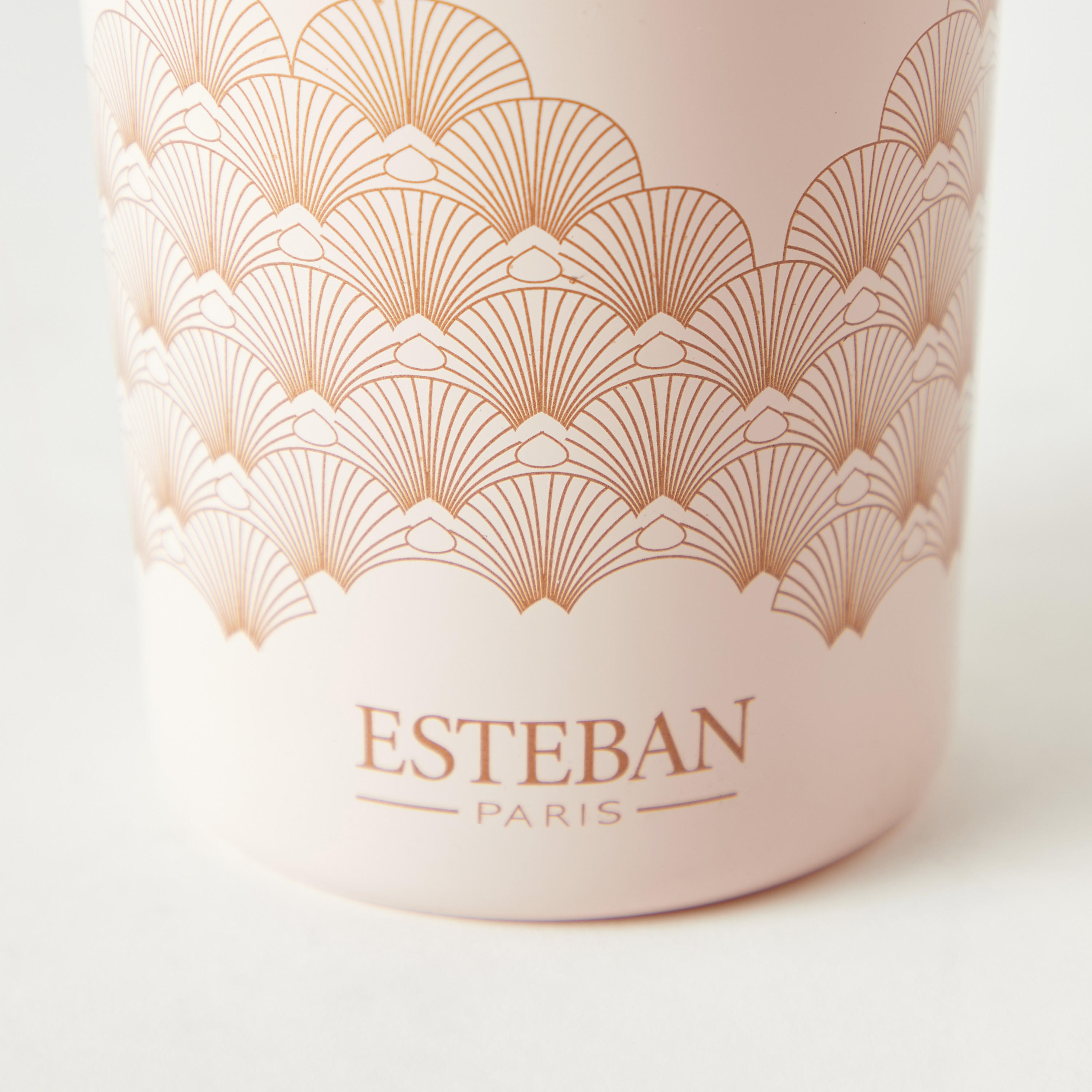 موزع عطور عيدان خشبية 15 قطعة ايريس كاشمير من ايستيبان - 100 مل-household-homefragrance-reeddiffusers-image-3