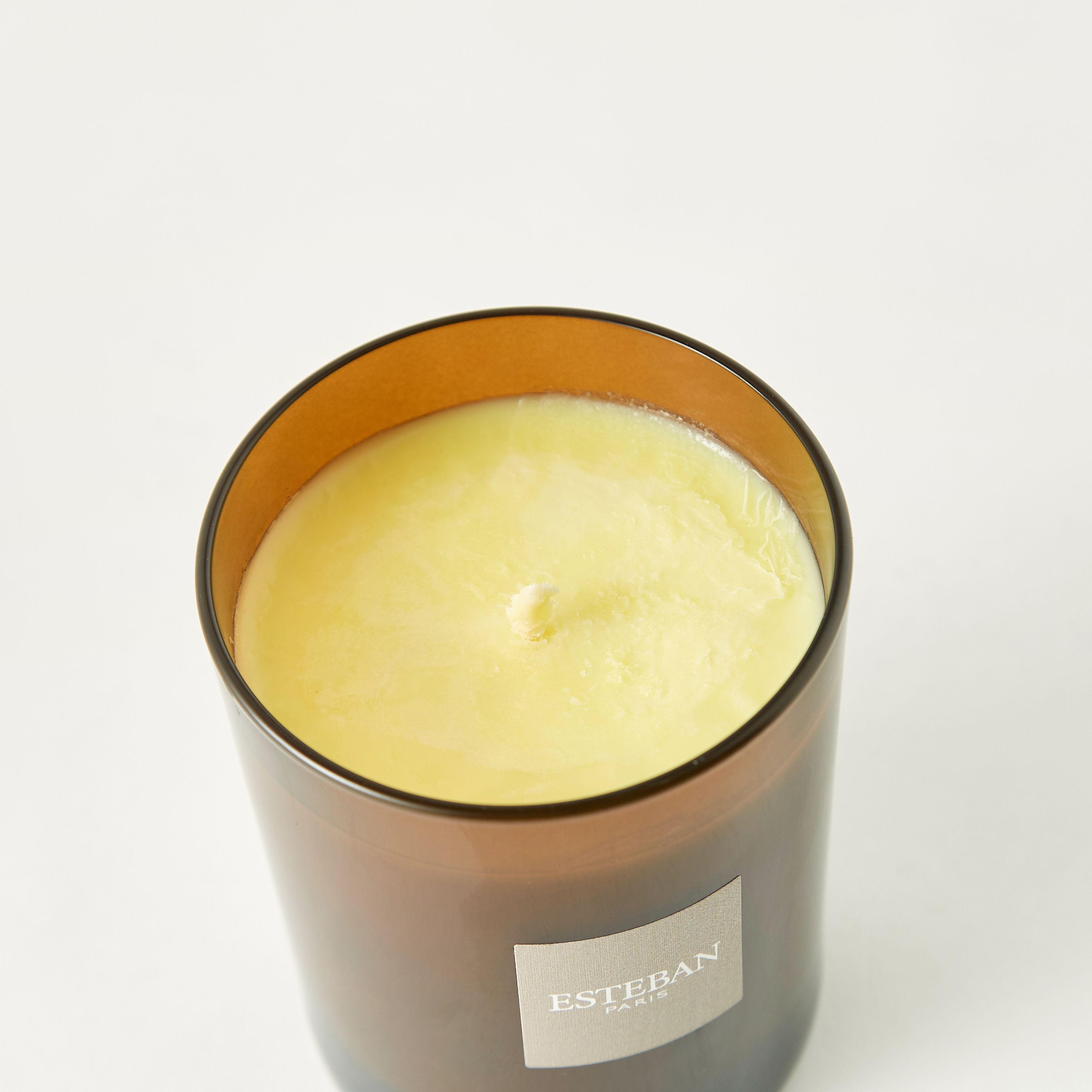 جرة شموع زجاج معطرة ريف بلانك قابلة لإعادة الملء من استيبان - 170 جم-household-homefragrance-candles-image-3