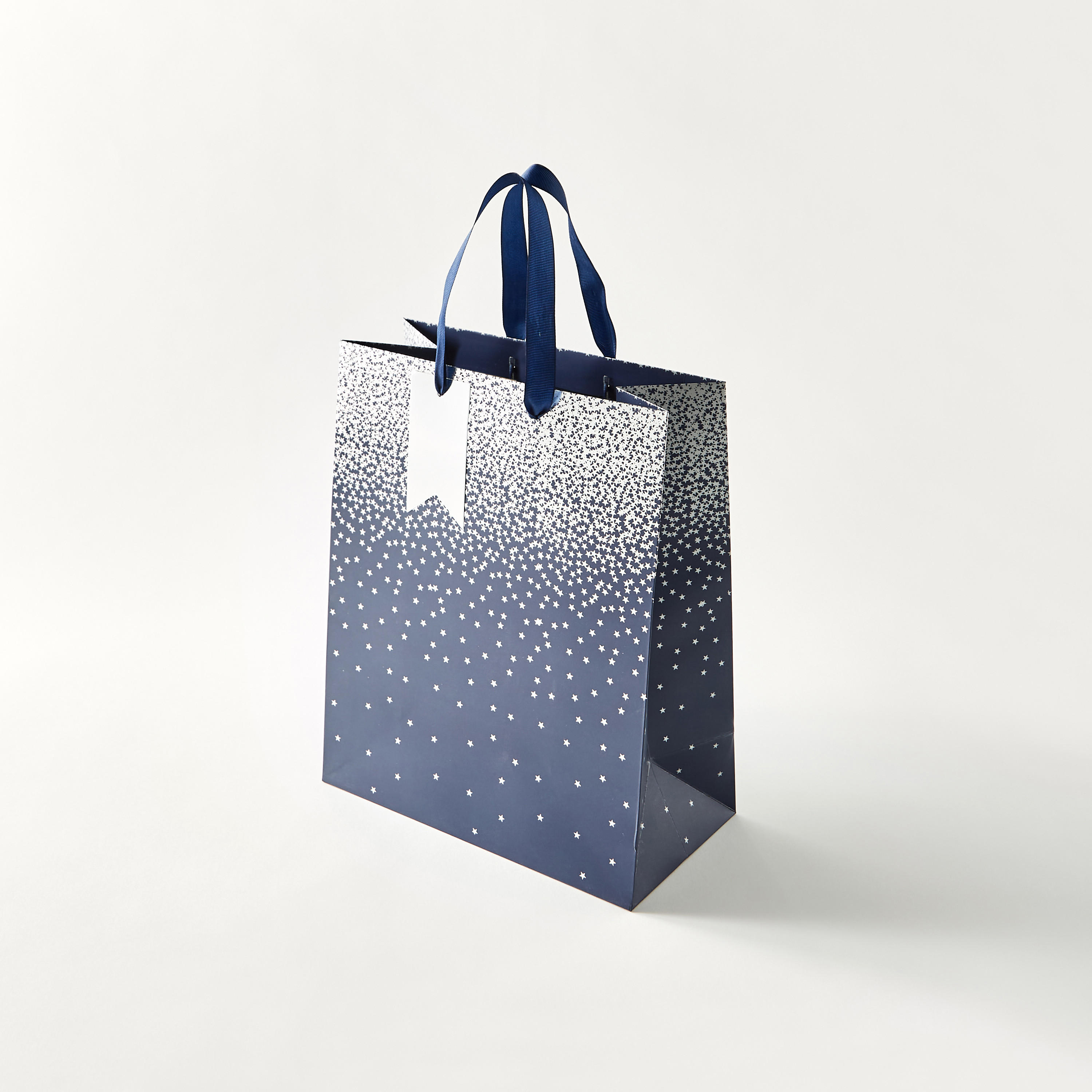 Findz Eurowrap Star Print Paper Gift Bag - Large-household-giftingaccessories-giftings-image-1