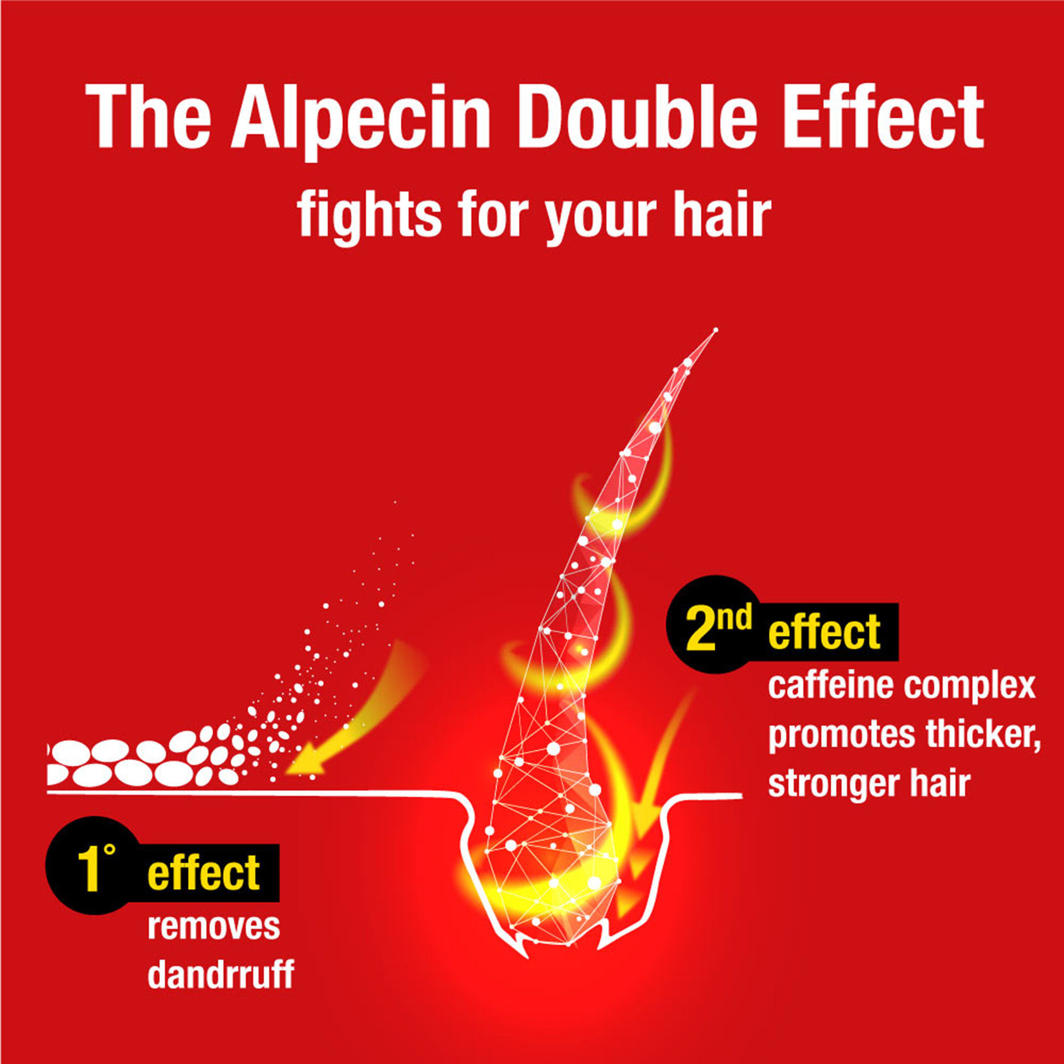 ALPECIN Dandruff Killer Shampoo - 250 ml-beautyandpersonalcare-hair-haircare-shampoos-image-3