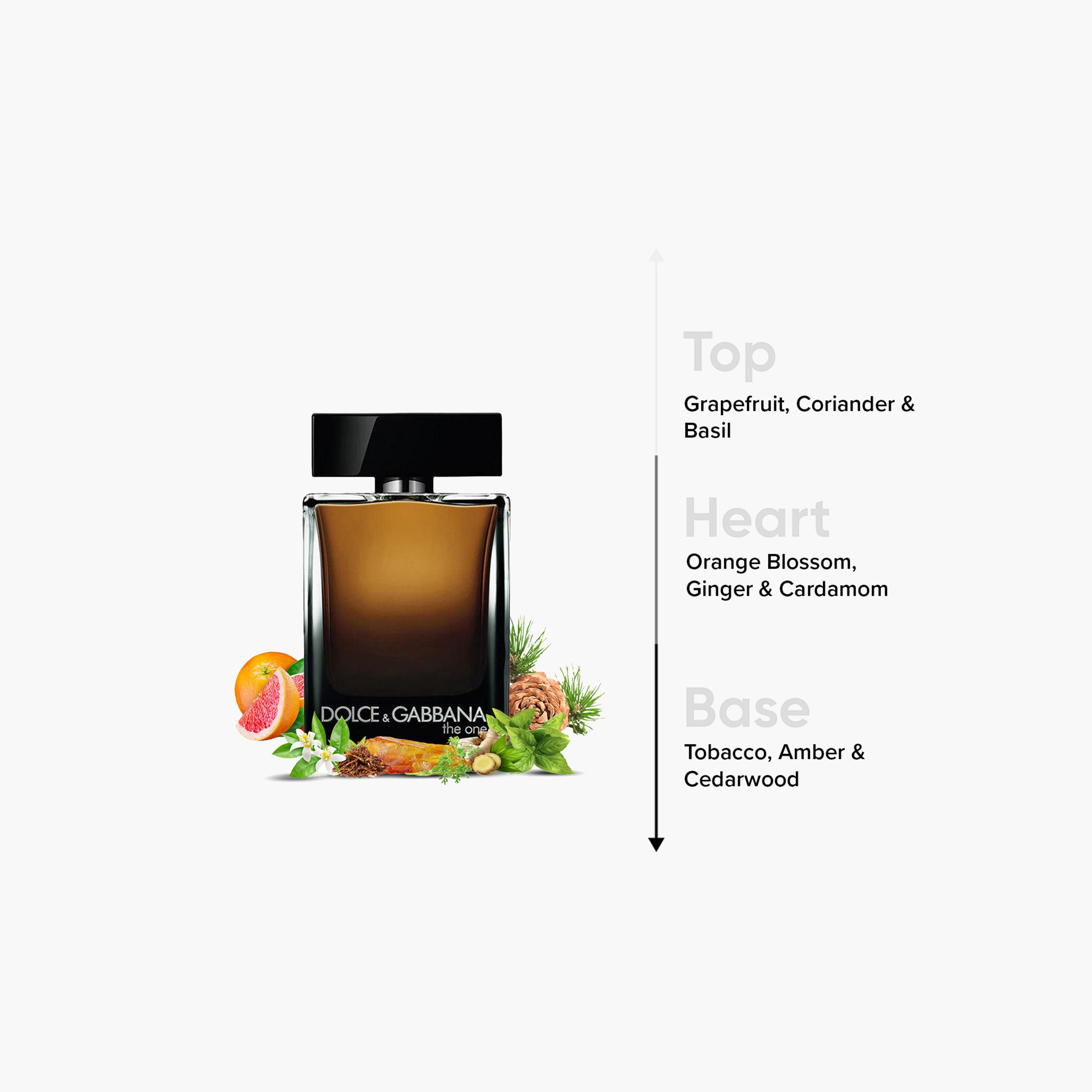 عطر أو دي بارفيوم ذا وان للرجال من دولتشي أند جابانا - 100 مل-beautyandpersonalcare-fragrance-men-image-4