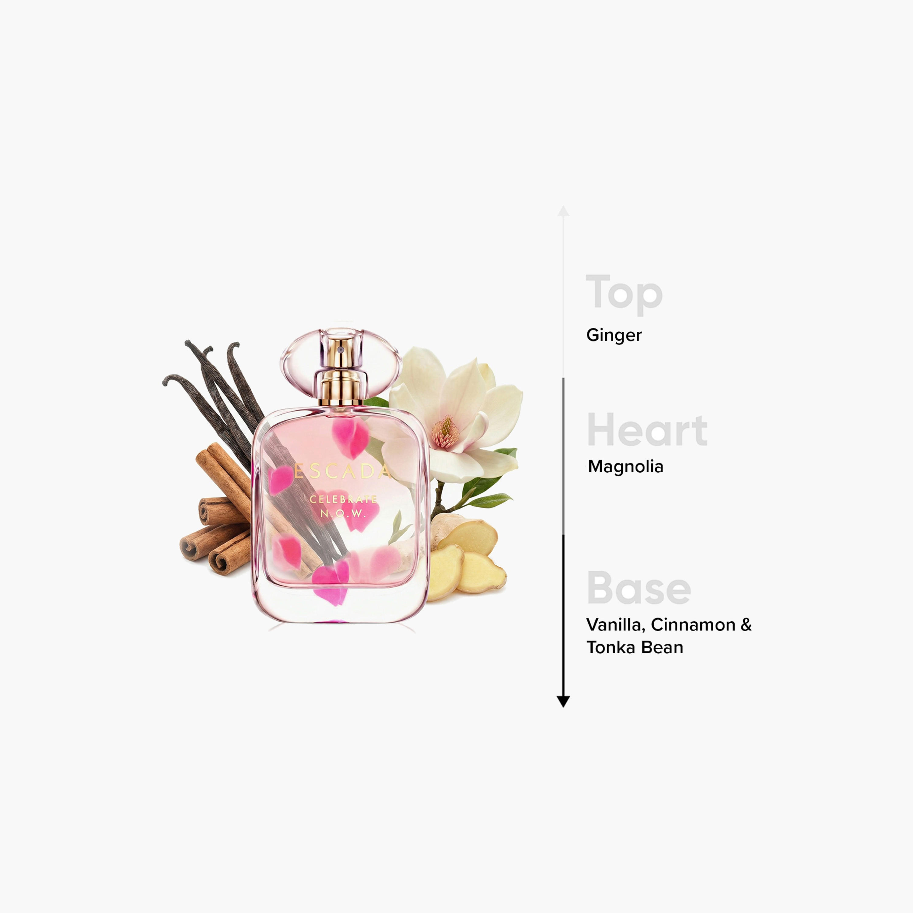 Escada Celebrate N.O.W Eau de Parfum Spray for Women - 80 ml-beautyandpersonalcare-fragrance-women-image-4