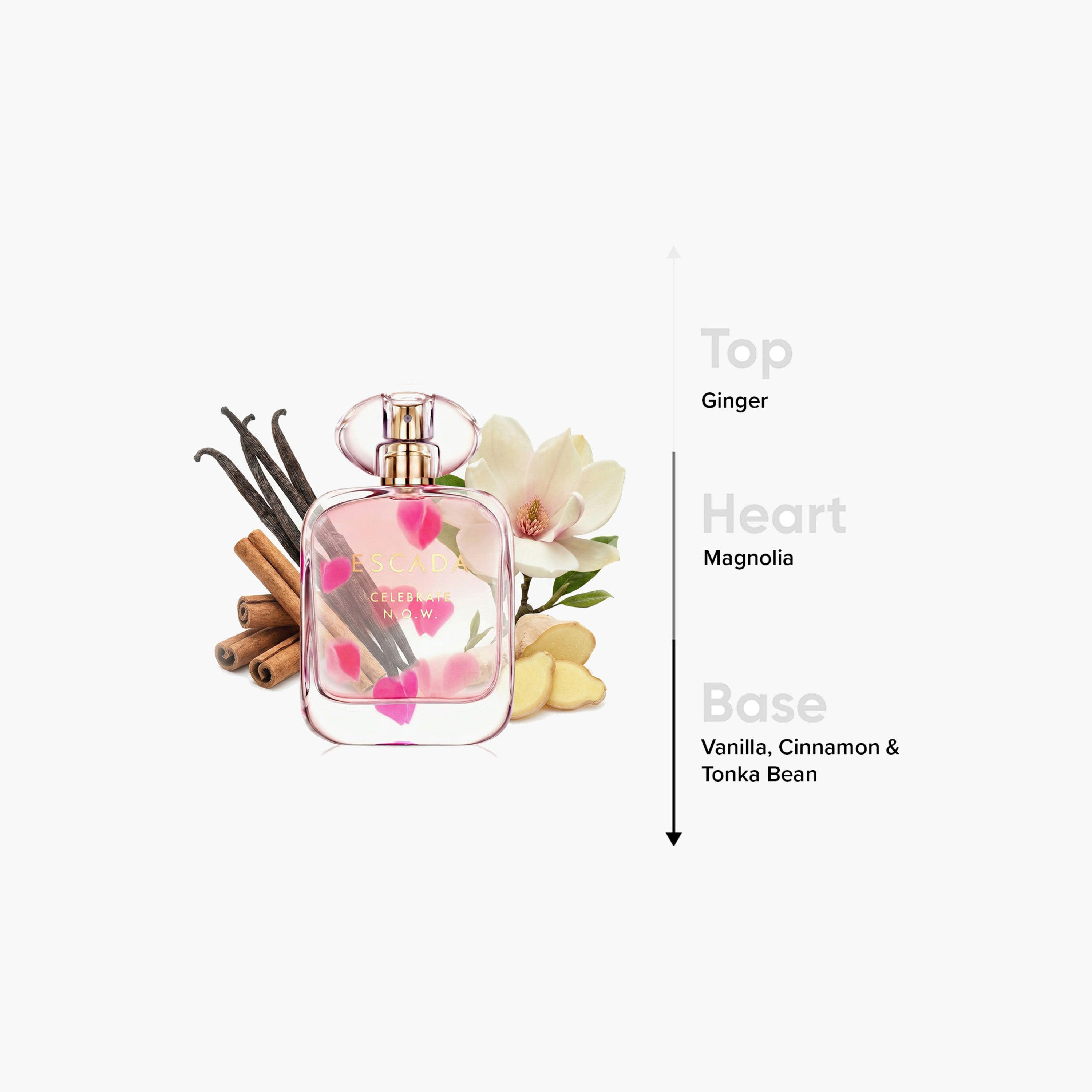 Escada Celebrate N.O.W Eau de Parfum Spray for Women - 80 ml-beautyandpersonalcare-fragrance-women-image-4