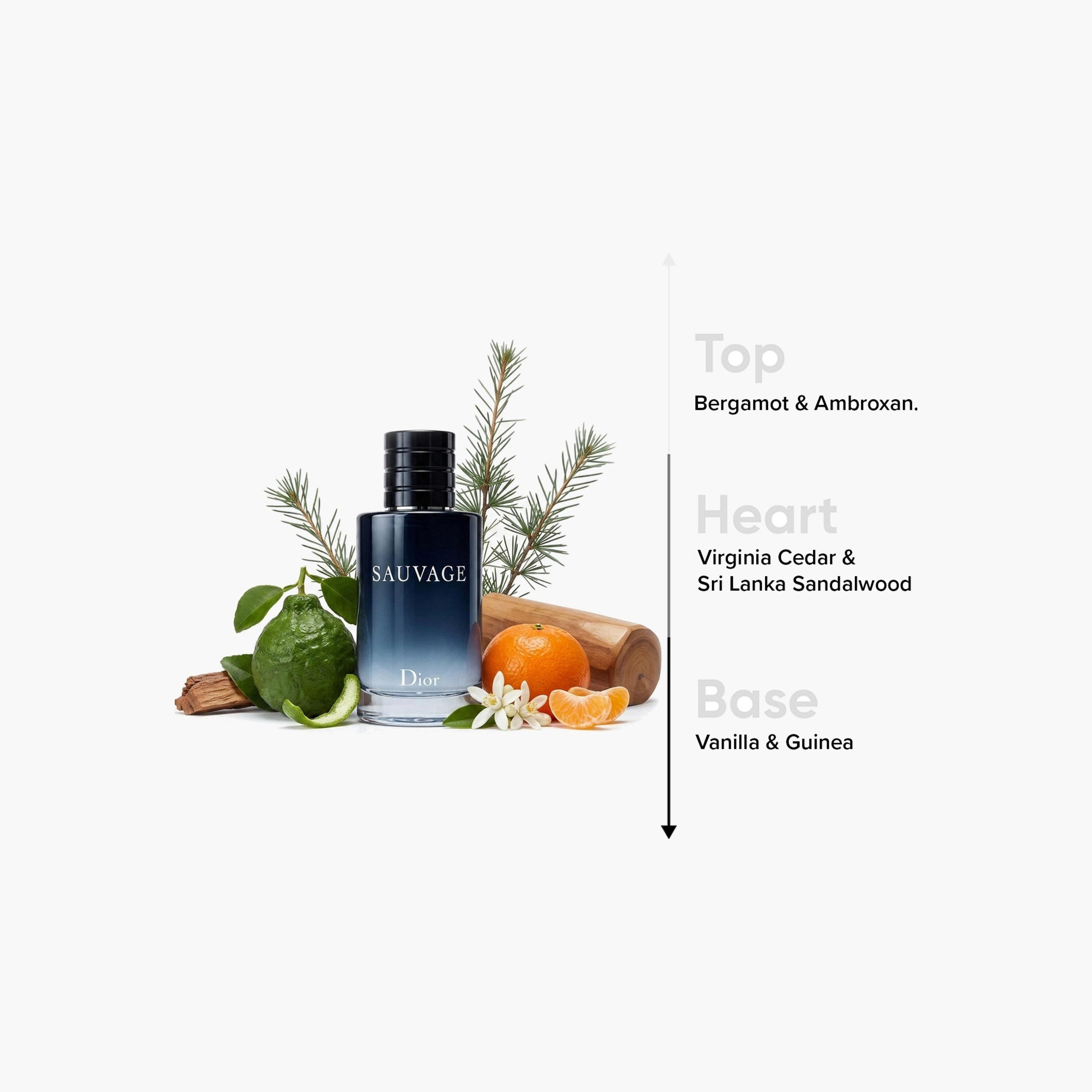 أو دي تواليت سوفاج من كريستيان ديور - 60 مل-beautyandpersonalcare-fragrance-men-image-4