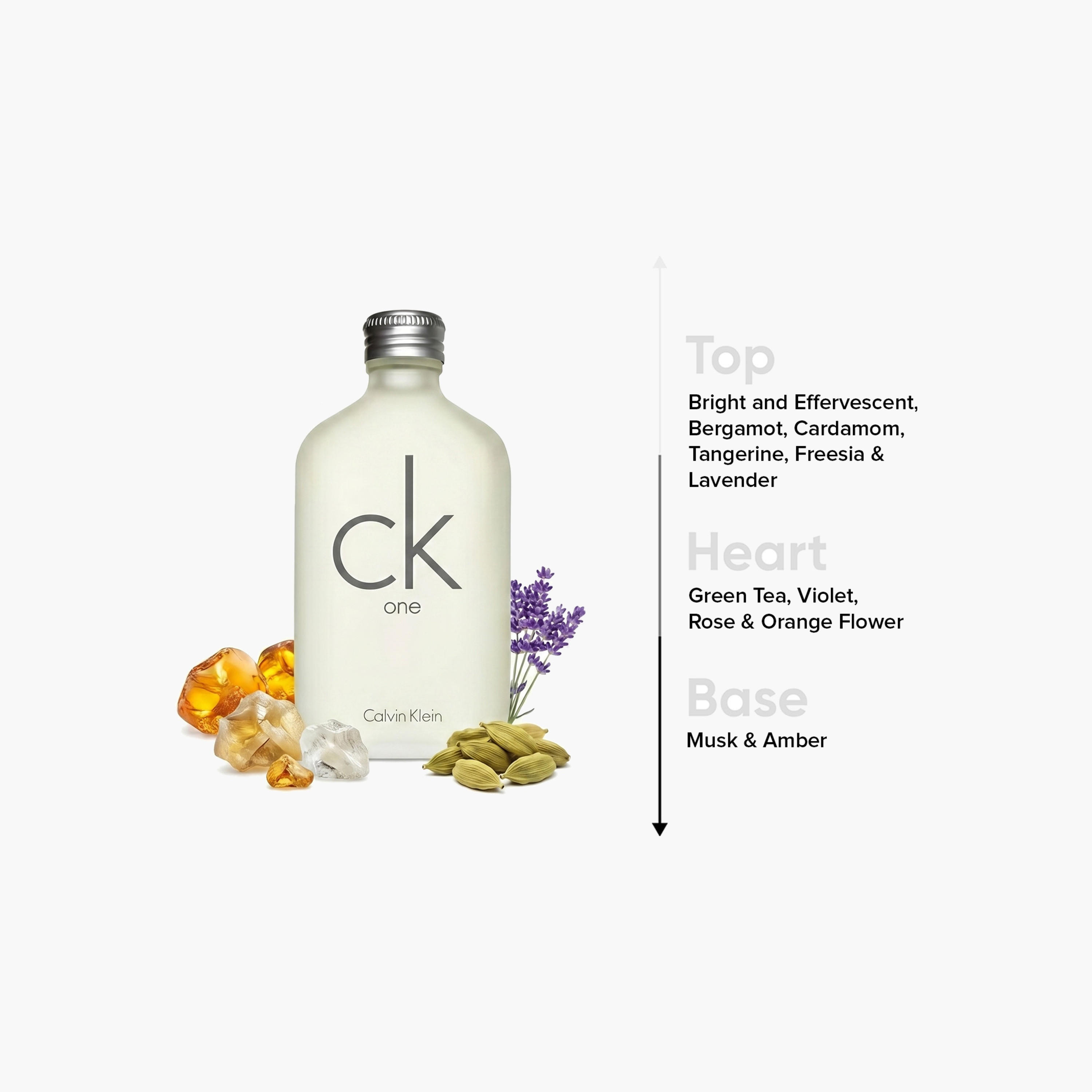 Calvin Klein cK One Eau De Toilette Unisex Spray - 200 ml-beautyandpersonalcare-fragrance-unisex-image-4