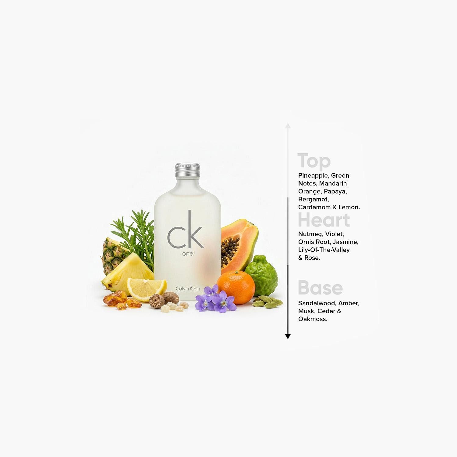 Calvin Klein cK One Eau De Toilette Unisex Spray - 200 ml-beautyandpersonalcare-fragrance-men-image-4