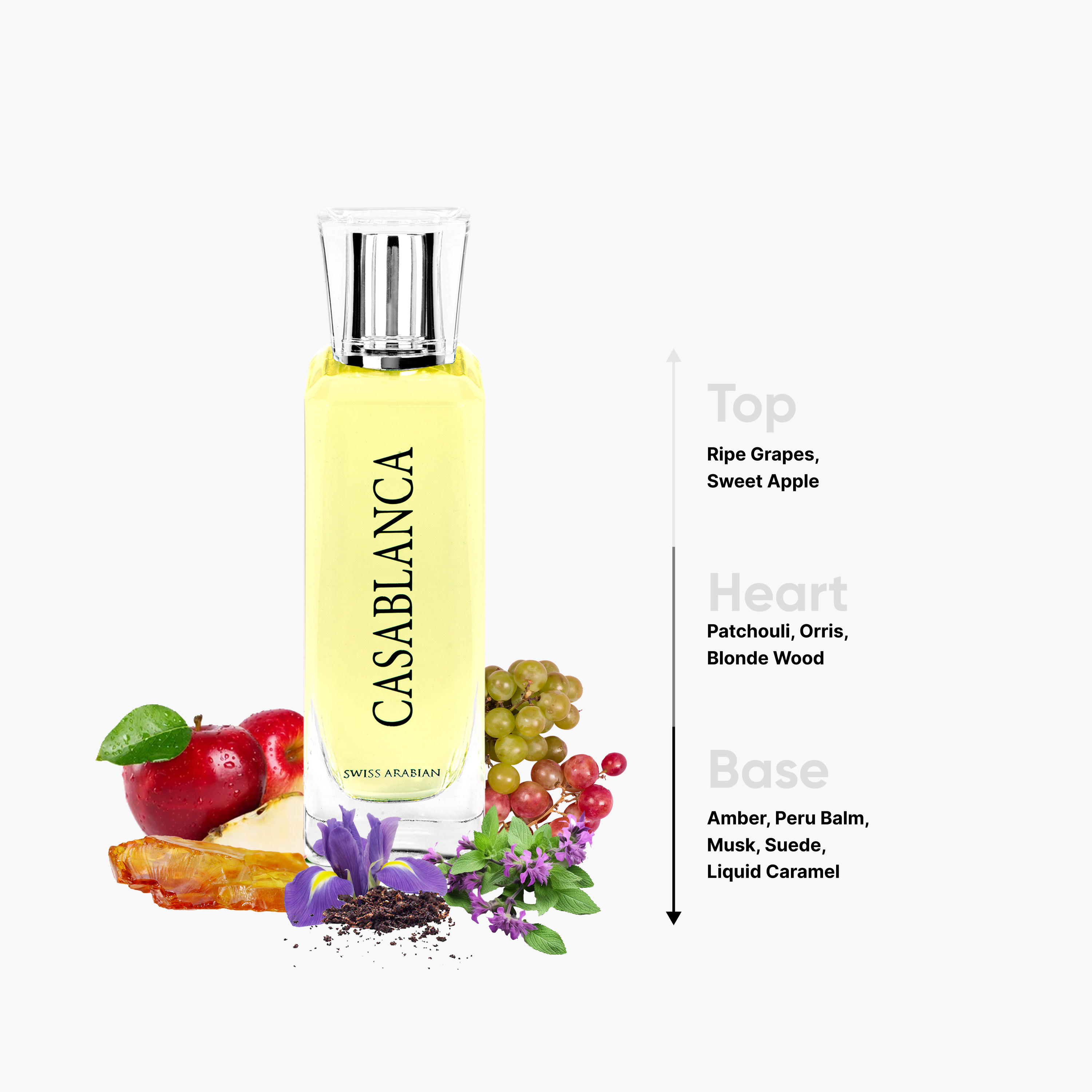 عطر بخّاخ أو دي بيرفيوم للرجال كازابلانكا من سويس أرابيان - 100 مل-beautyandpersonalcare-fragrance-men-image-4