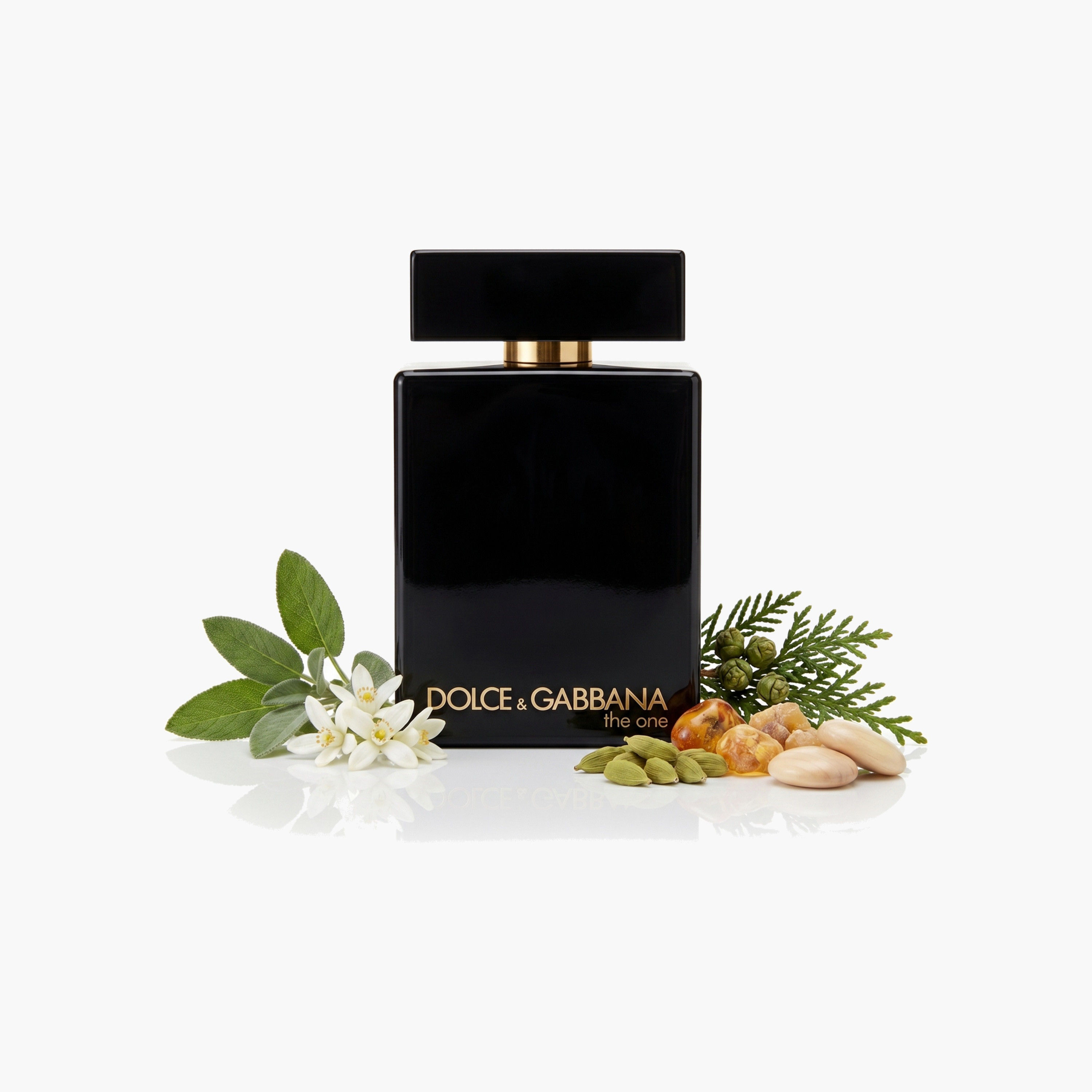 عطر أو دو بارفان للرجال ذا وان انتنس من دولتشي آند غابانا - 100 مل-beautyandpersonalcare-fragrance-men-image-3