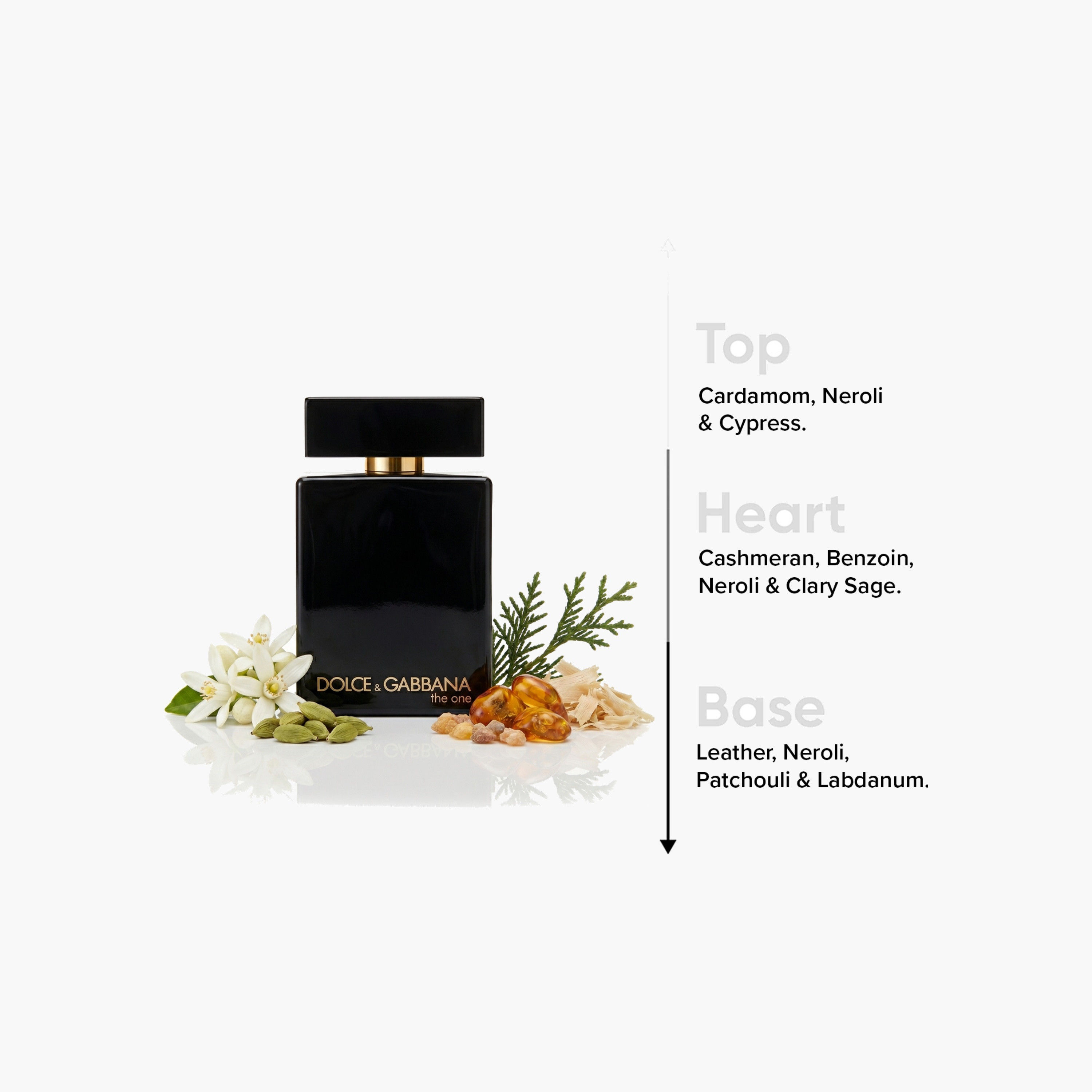 عطر أو دو بارفان للرجال ذا وان انتنس من دولتشي آند غابانا - 100 مل-beautyandpersonalcare-fragrance-men-image-4