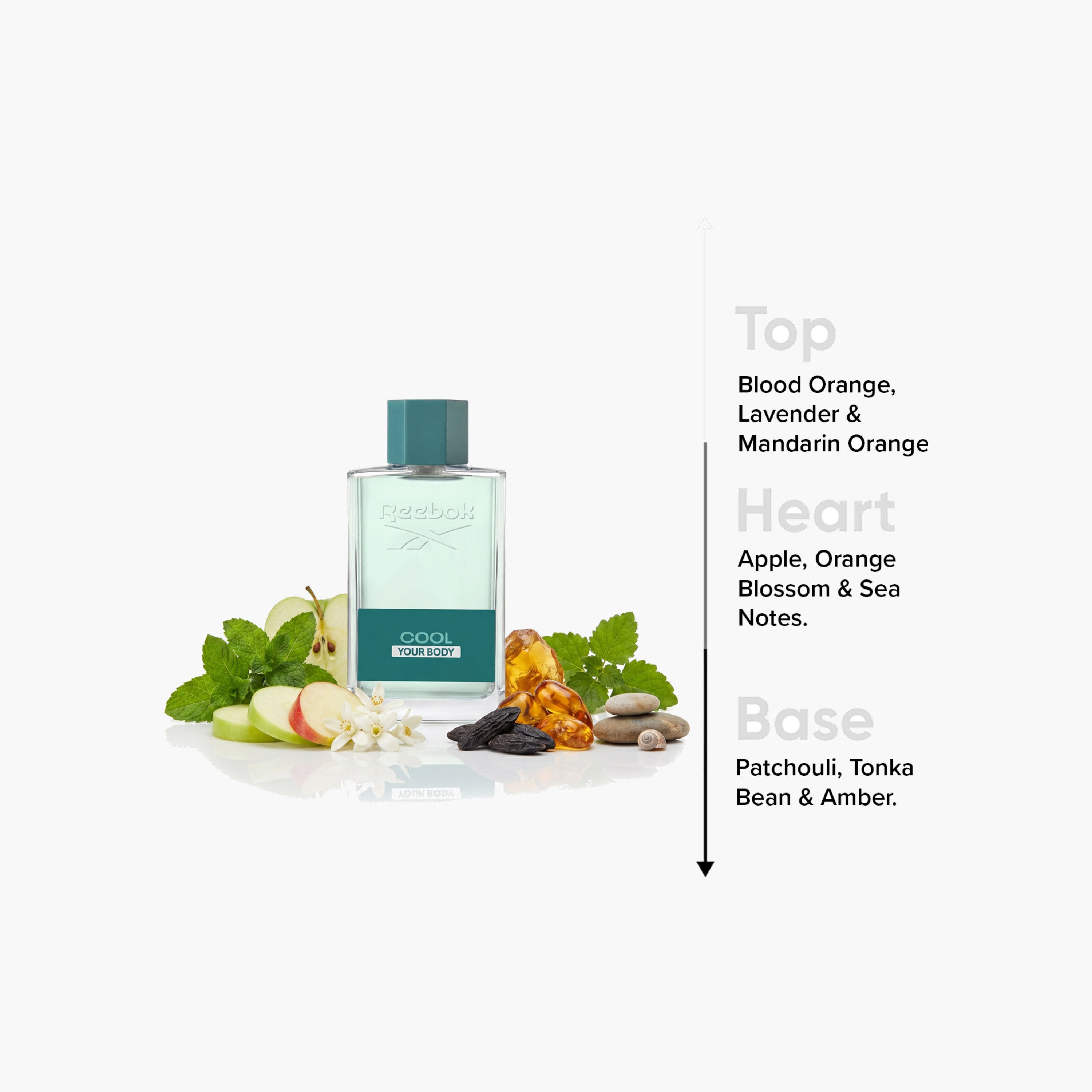 عطر كول يور بودي من ريبوك للرجال - او دي تواليت - 100 مل-beautyandpersonalcare-fragrance-men-image-4