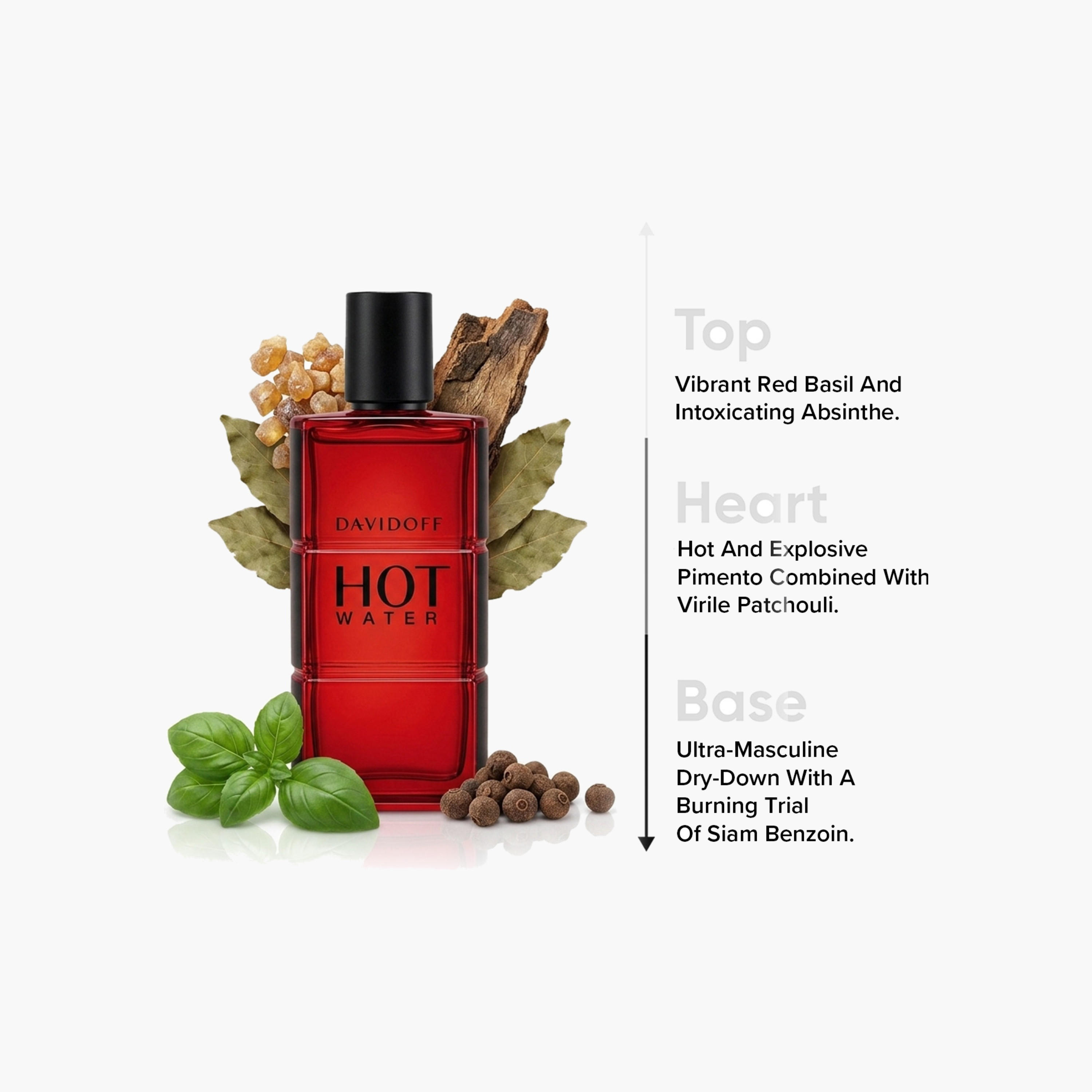 Davidoff Hot Water Eau de Toilette Spray for Men - 110 ml-beautyandpersonalcare-fragrance-men-image-4
