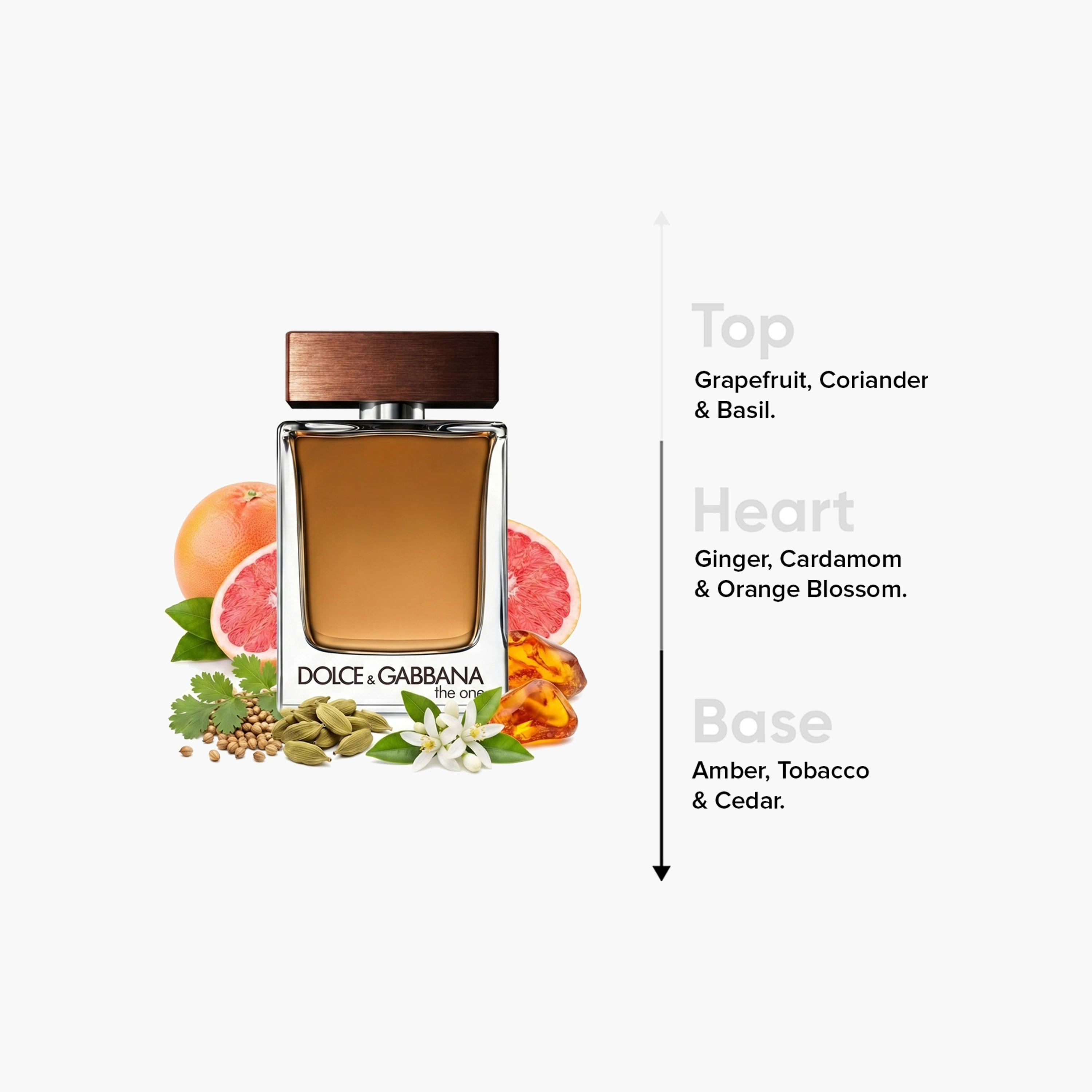 أو دو تواليت ذي ون للرجال من دولتشي آند غابانا - 100 مل-beautyandpersonalcare-fragrance-men-image-4