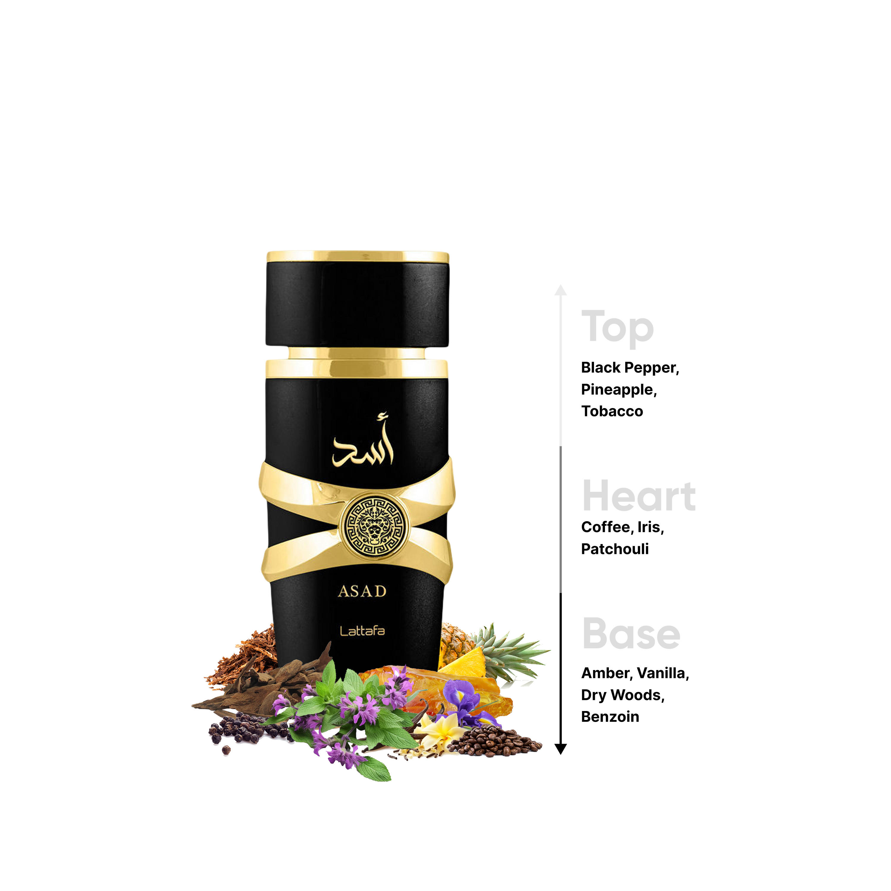 Lattafa Asad Eau de Parfum - 100 ml-beautyandpersonalcare-fragrance-unisex-image-4