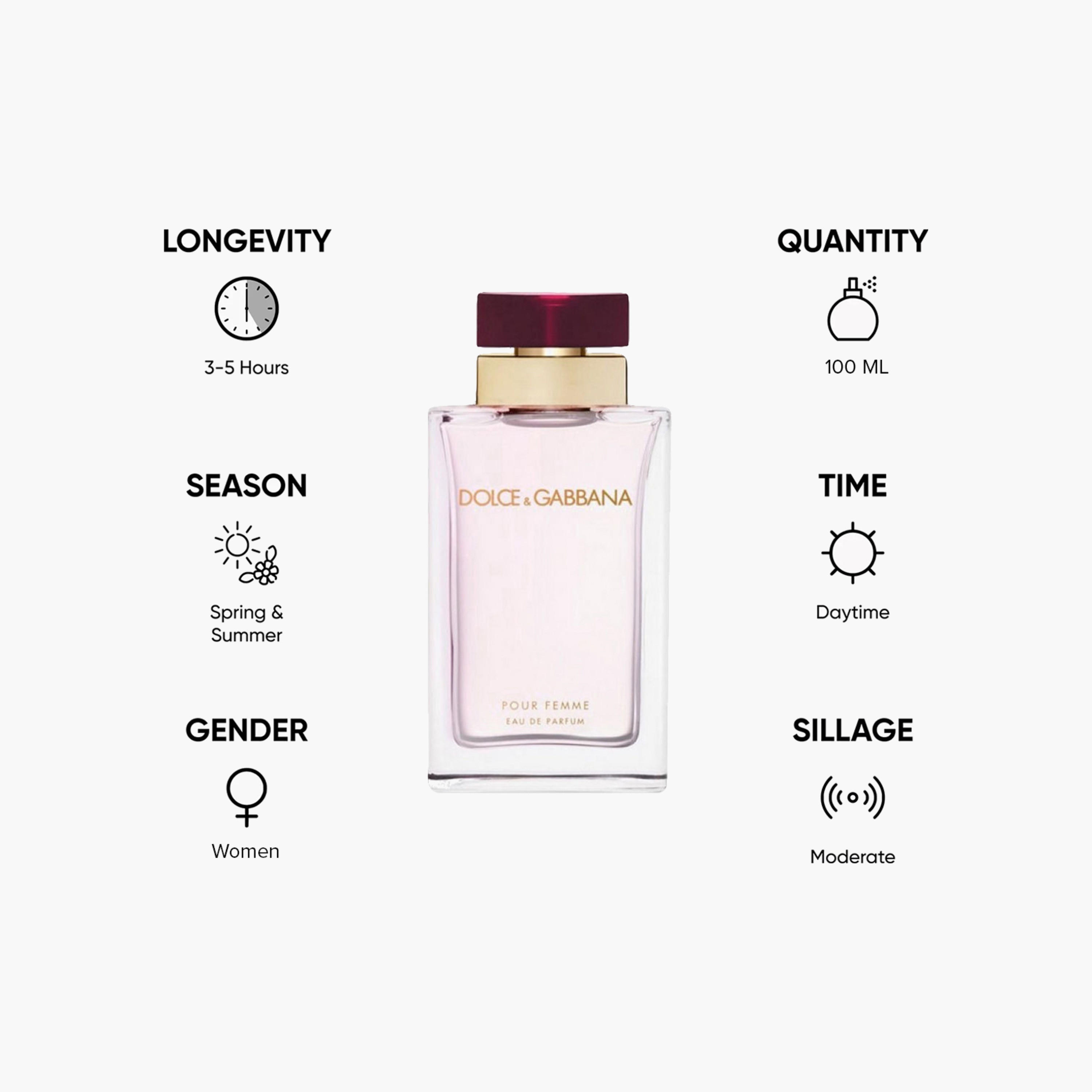 عطر مركّز ذا وان من دولتشي أند جابانا للنساء - 100 مل-beautyandpersonalcare-fragrance-women-image-5