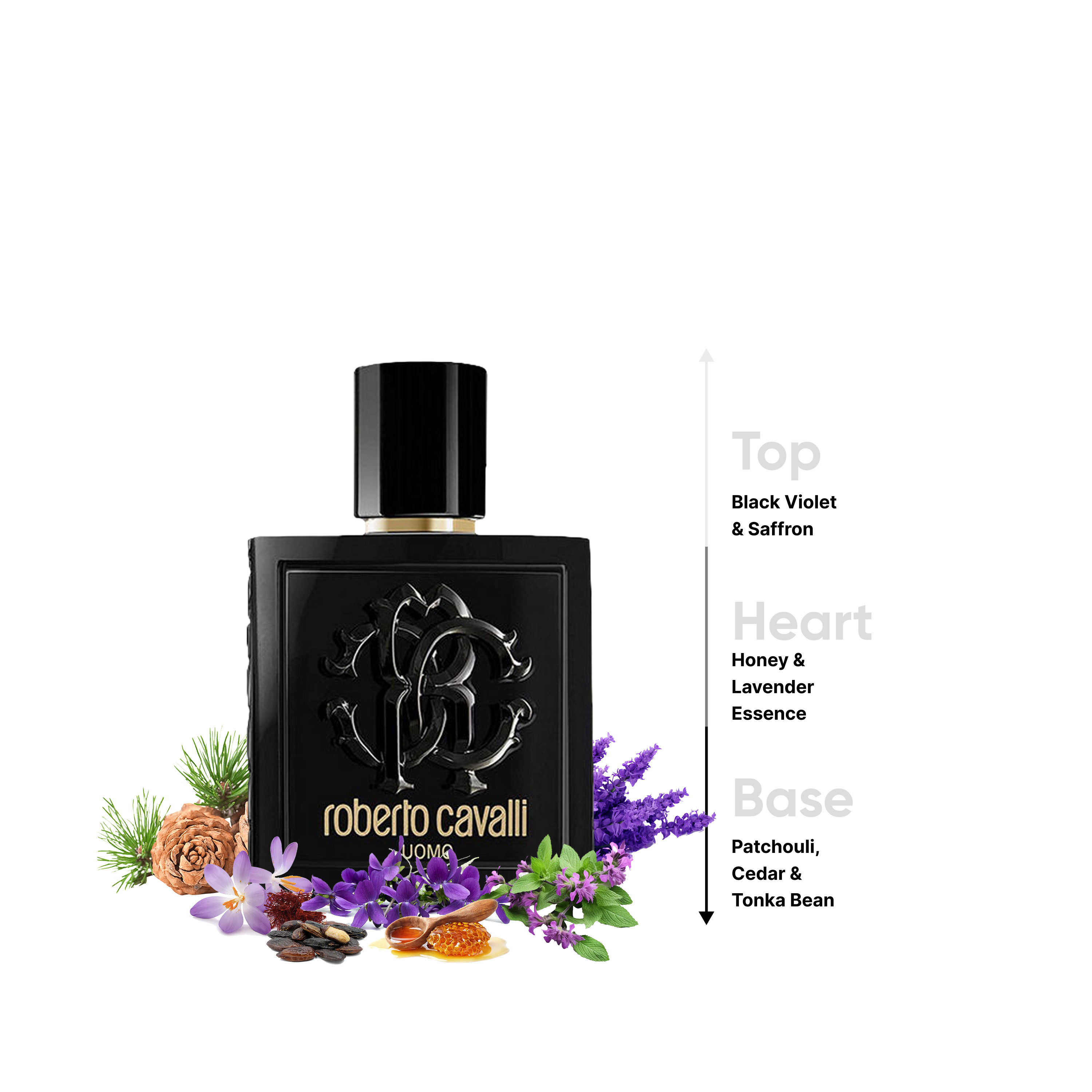 بخاخ معطر للجسم أومو ناتشورال للرجال من روبرتو كافالي - 100 مل-beautyandpersonalcare-fragrance-men-image-4
