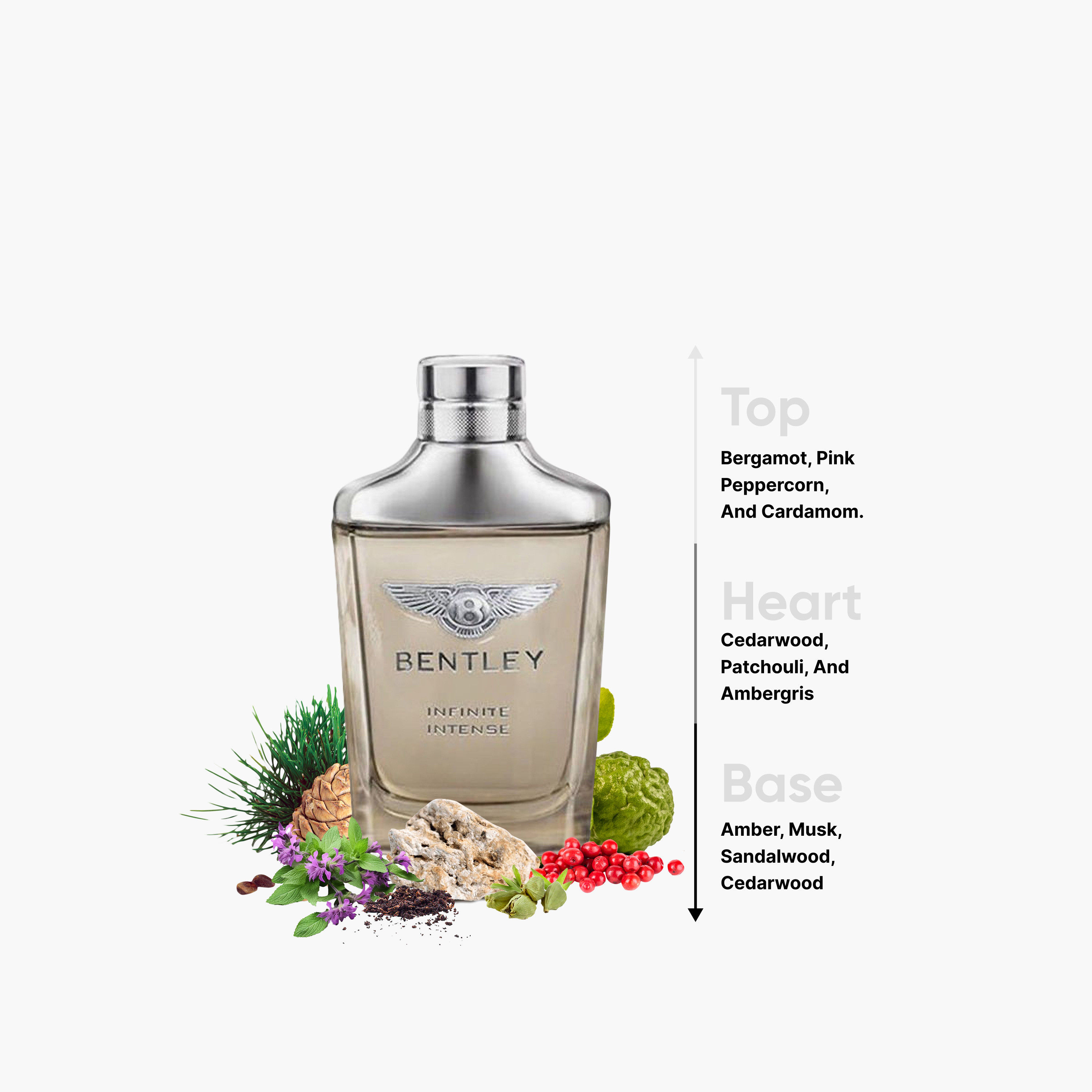 عطر أو دو برفيوم إنفينتي إنتنس للرجال من بينتلي- 100 مل-beautyandpersonalcare-fragrance-men-image-4