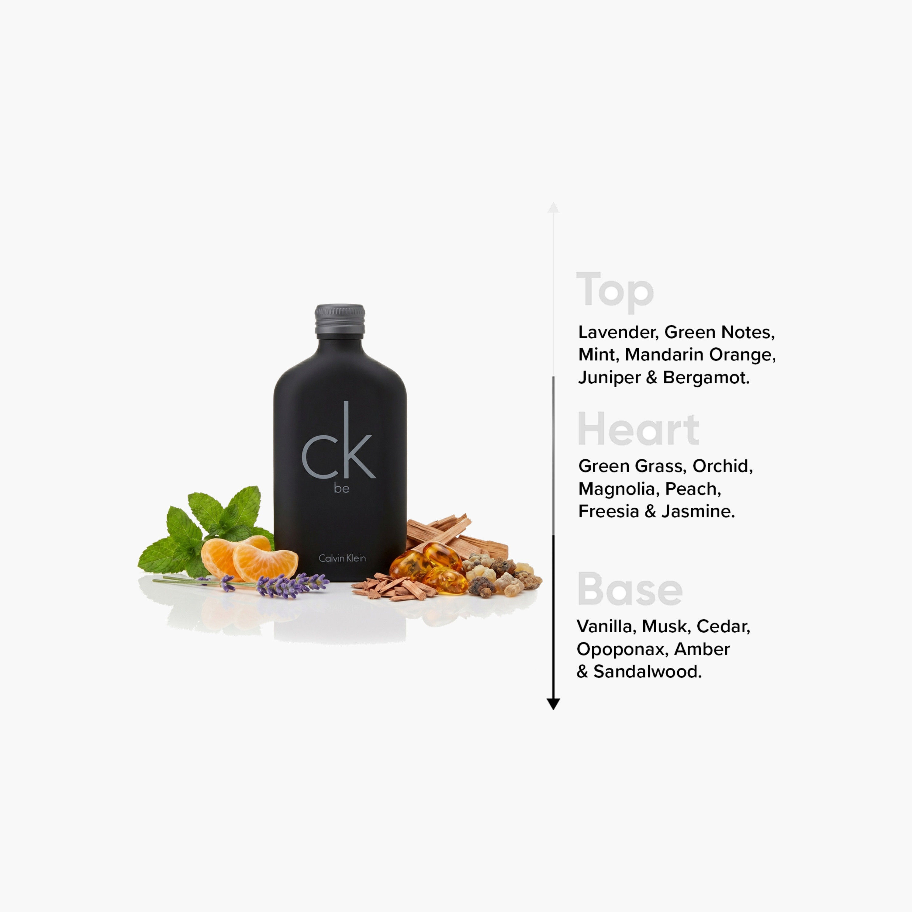 Calvin Klein Be Eau De Toilette Spray - 200 ml-beautyandpersonalcare-fragrance-unisex-image-4