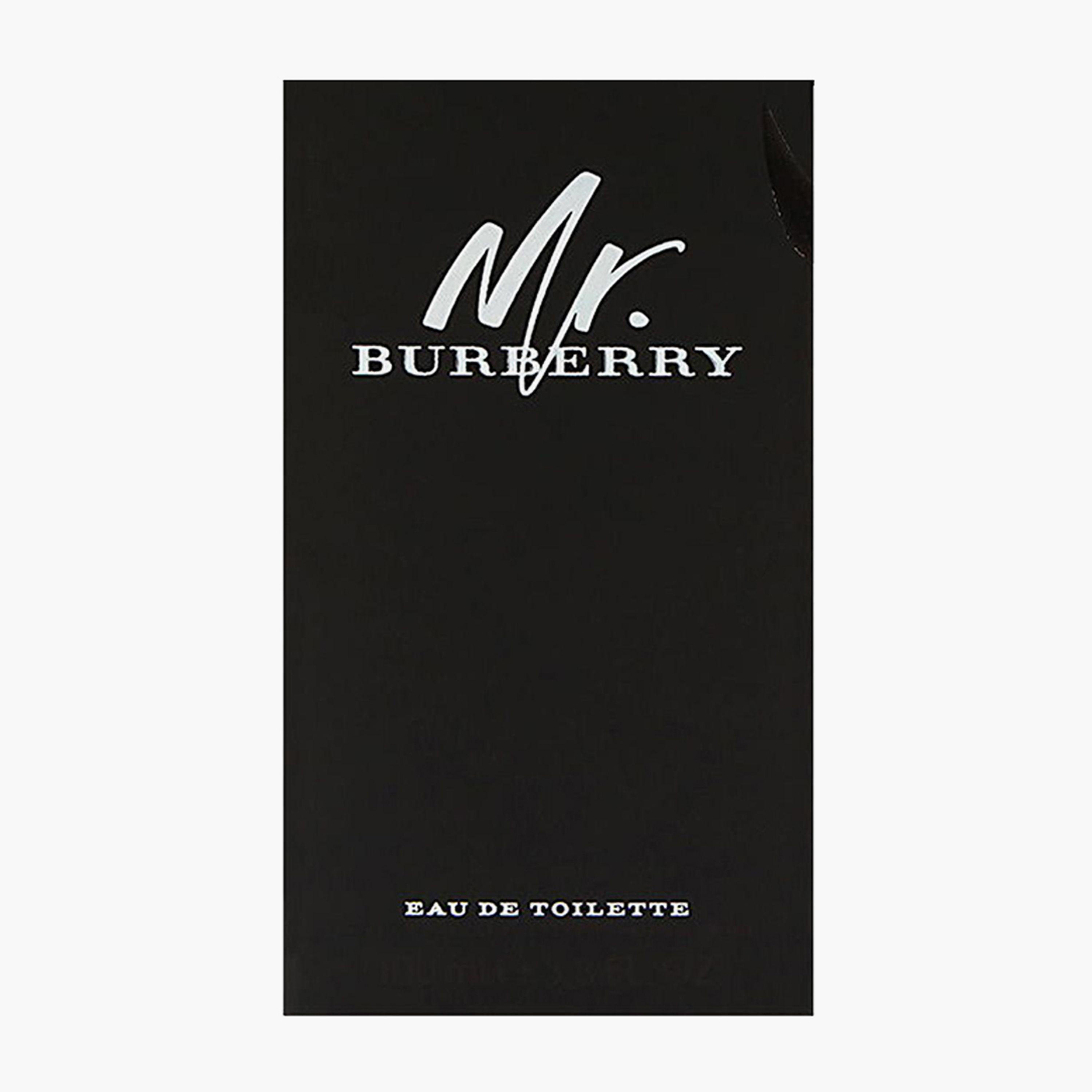 Burberry Mr. Burberry Eau de Toilette Spray for Men - 100 ml-beautyandpersonalcare-fragrance-men-image-3
