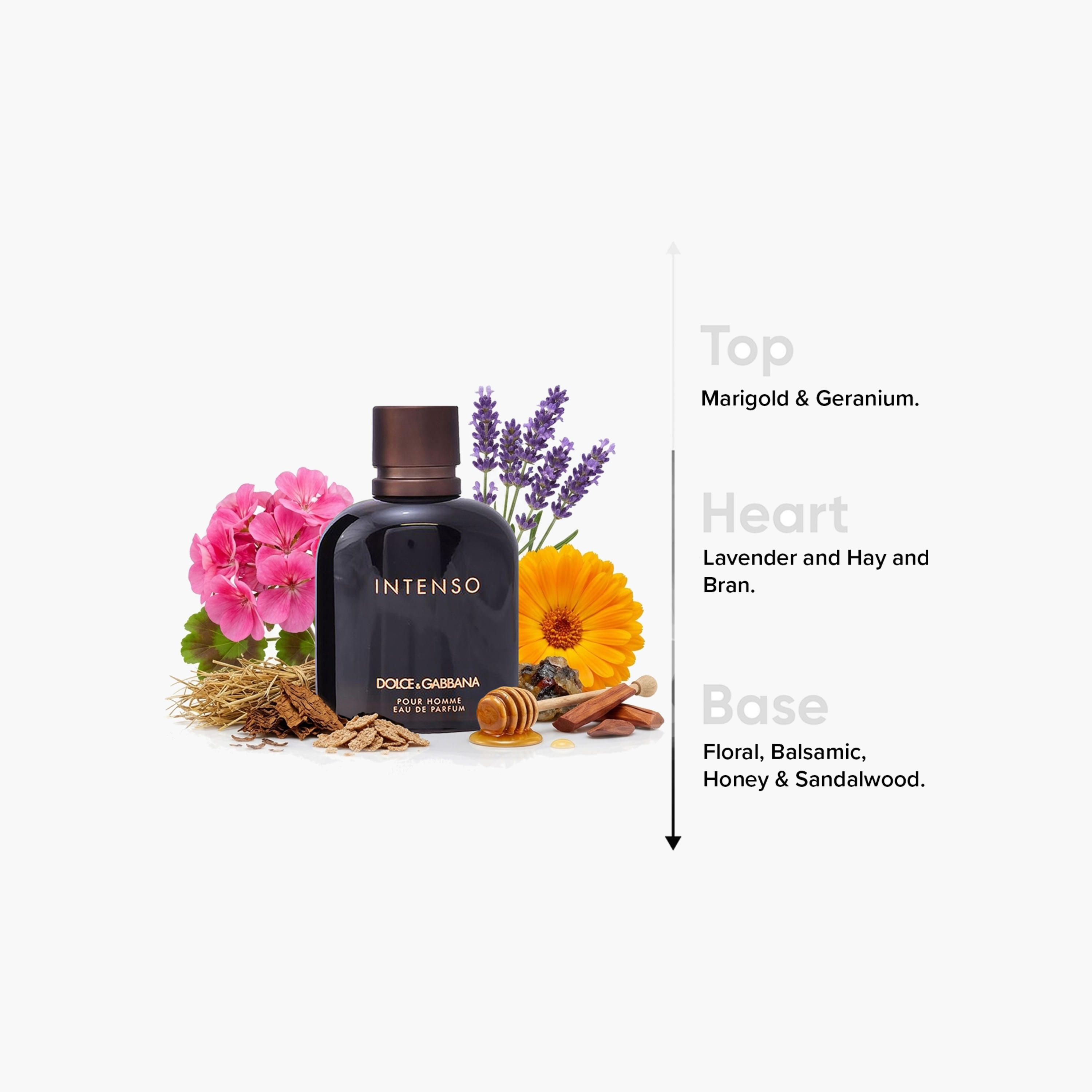 عطر أو دو بارفان إنتنسو بور أوم  للرجال من دولتشي آند غابانا - 125 مل-beautyandpersonalcare-fragrance-men-image-4