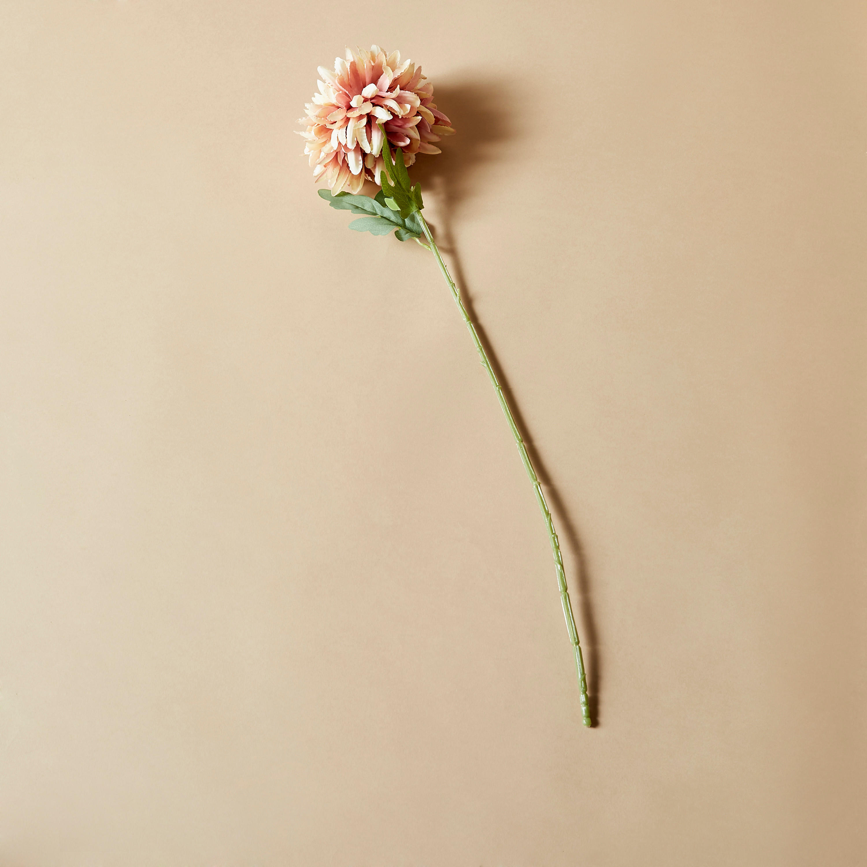 Decorative Floral Stem - 74 cms-household-gardenandoutdoor-artificialflowersandplants-flowers-image-4