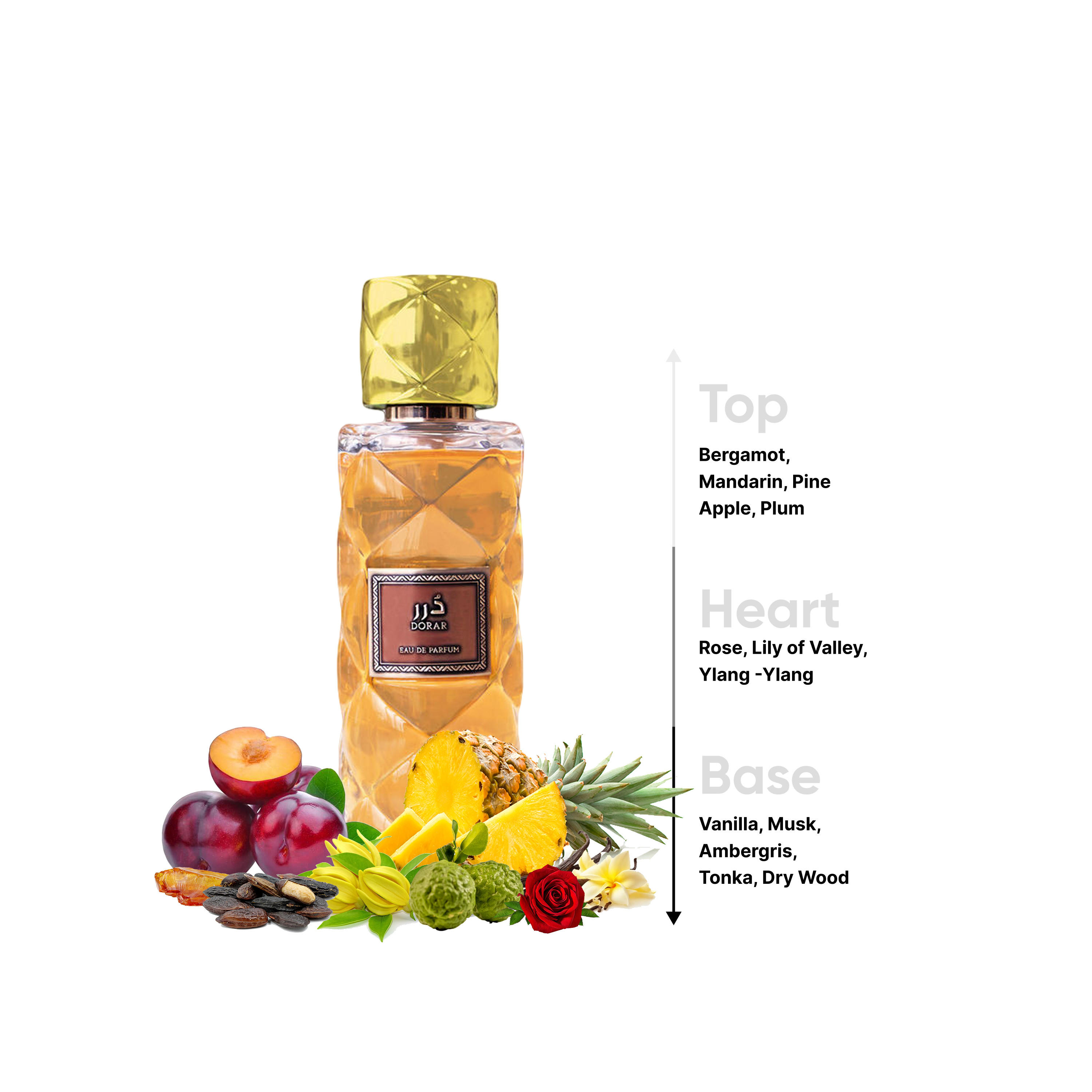 Rasasi Tawleefa Dorar Eau De Parfume - 100 ml-beautyandpersonalcare-fragrance-unisex-image-4