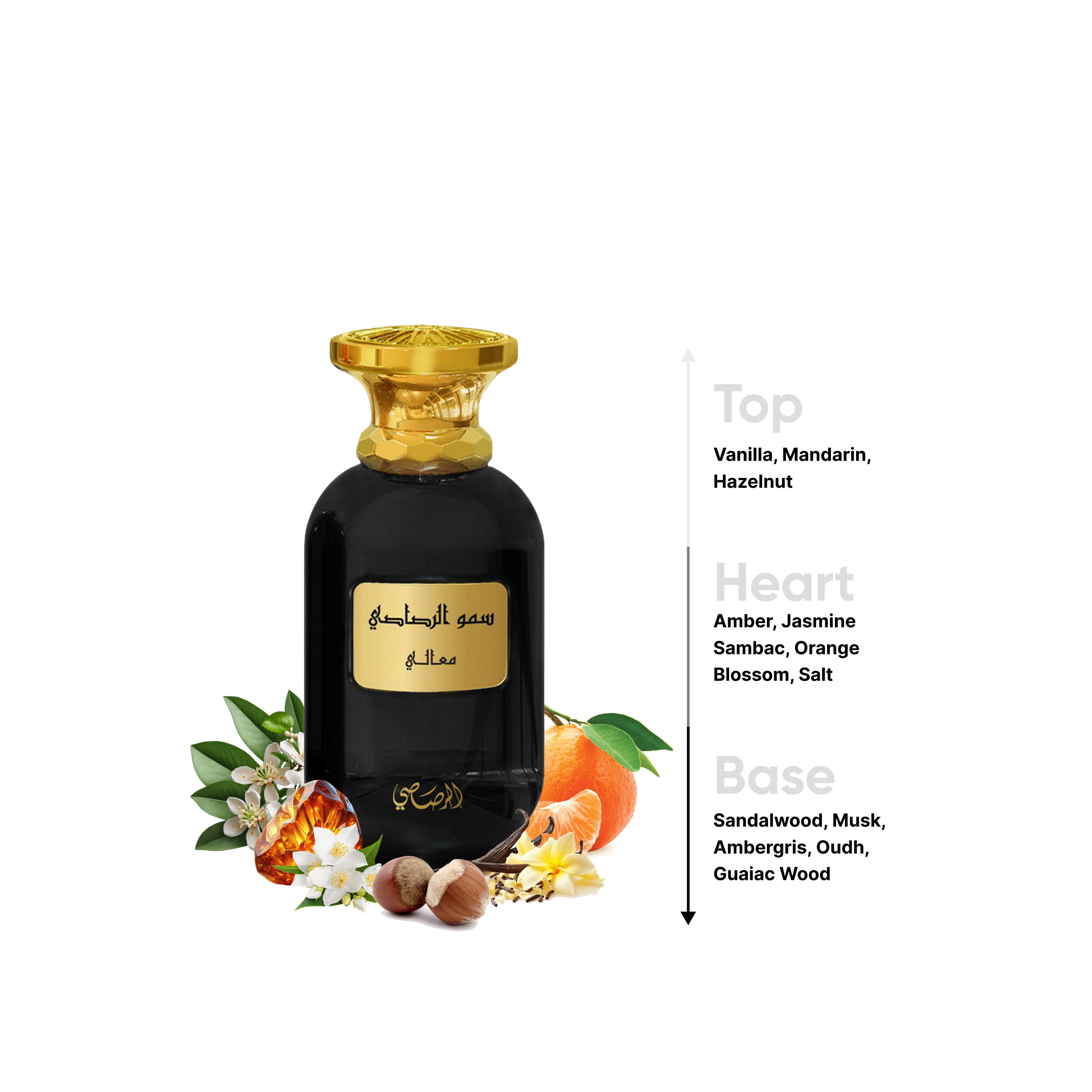 عطر أو دو برفان سمو المعالي من الرصاصي - 100 مل-beautyandpersonalcare-fragrance-unisex-image-4