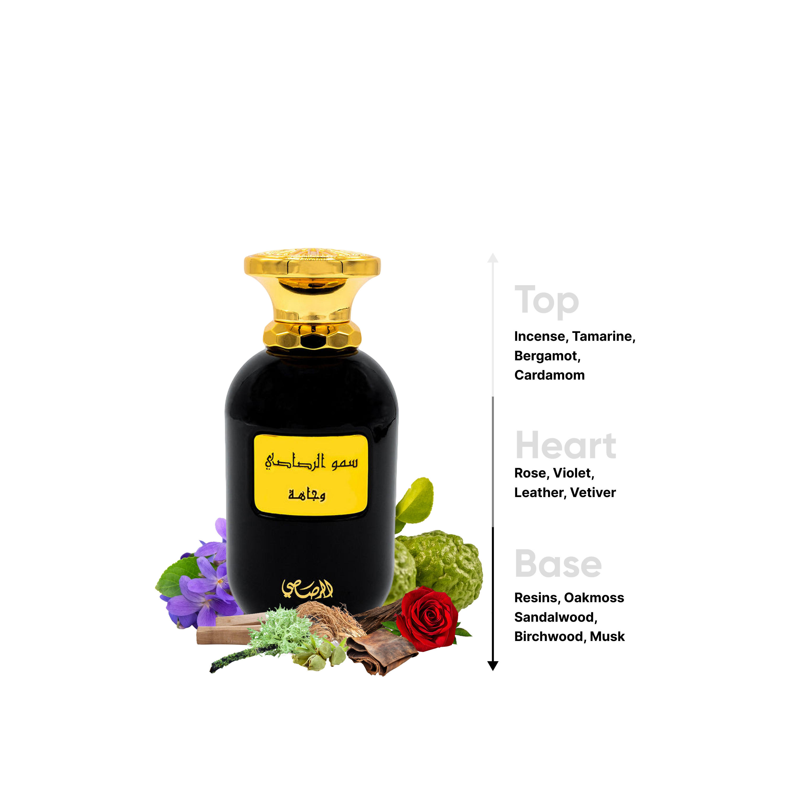 عطر أو دي برفيوم سومو من رصاصي - 100 مل-beautyandpersonalcare-fragrance-unisex-image-4